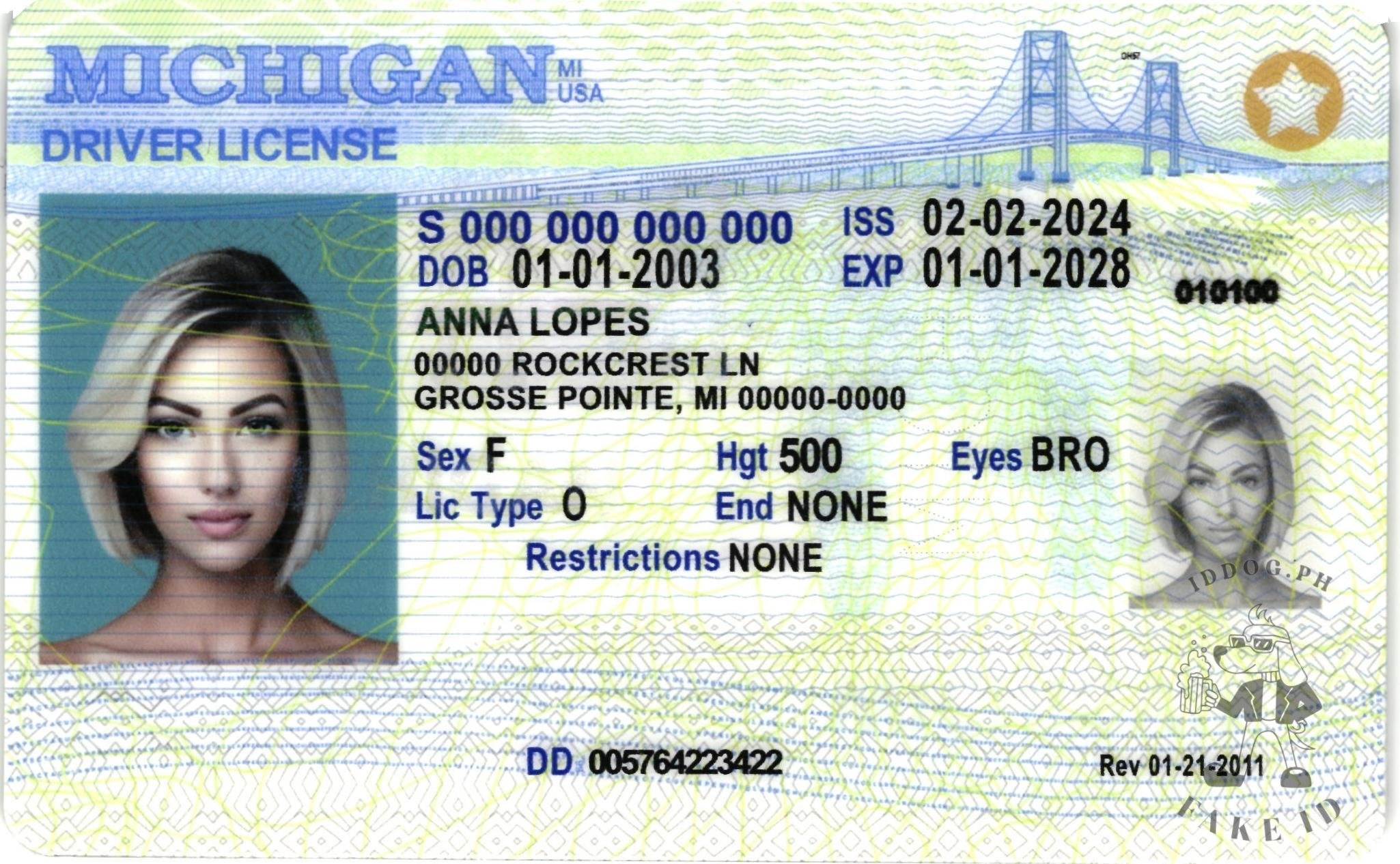 Michigan Fake ID