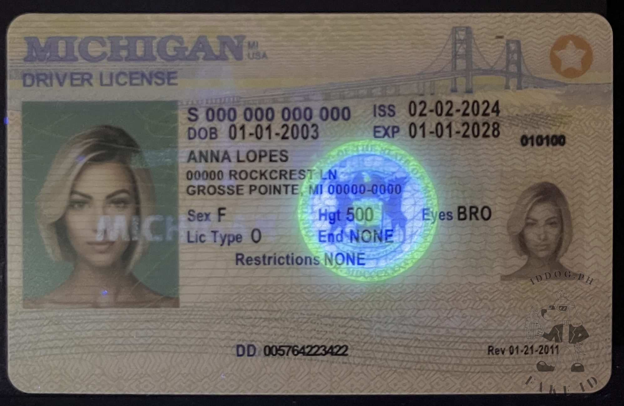 Michigan Fake ID