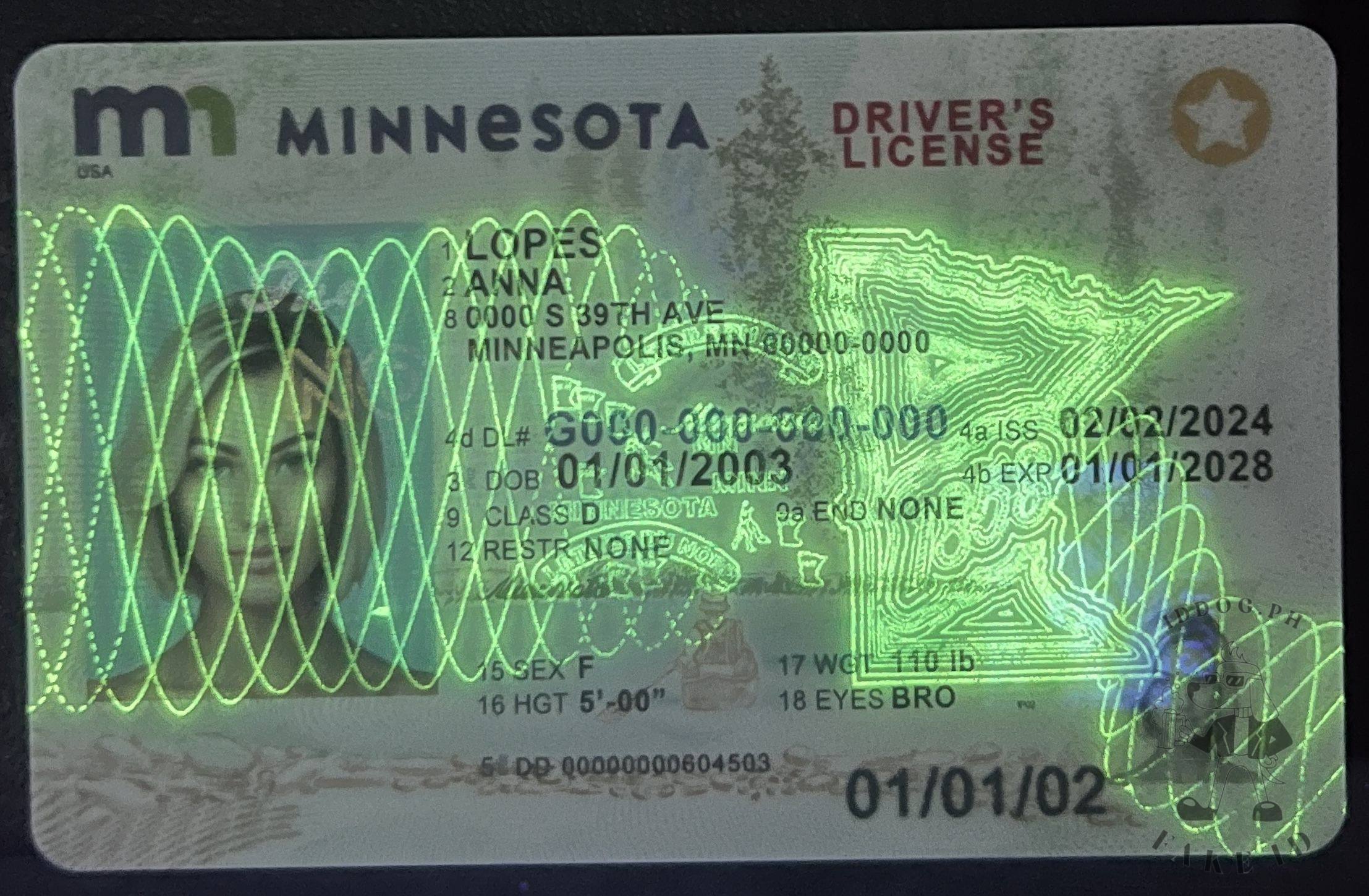 Minnesota Fake ID