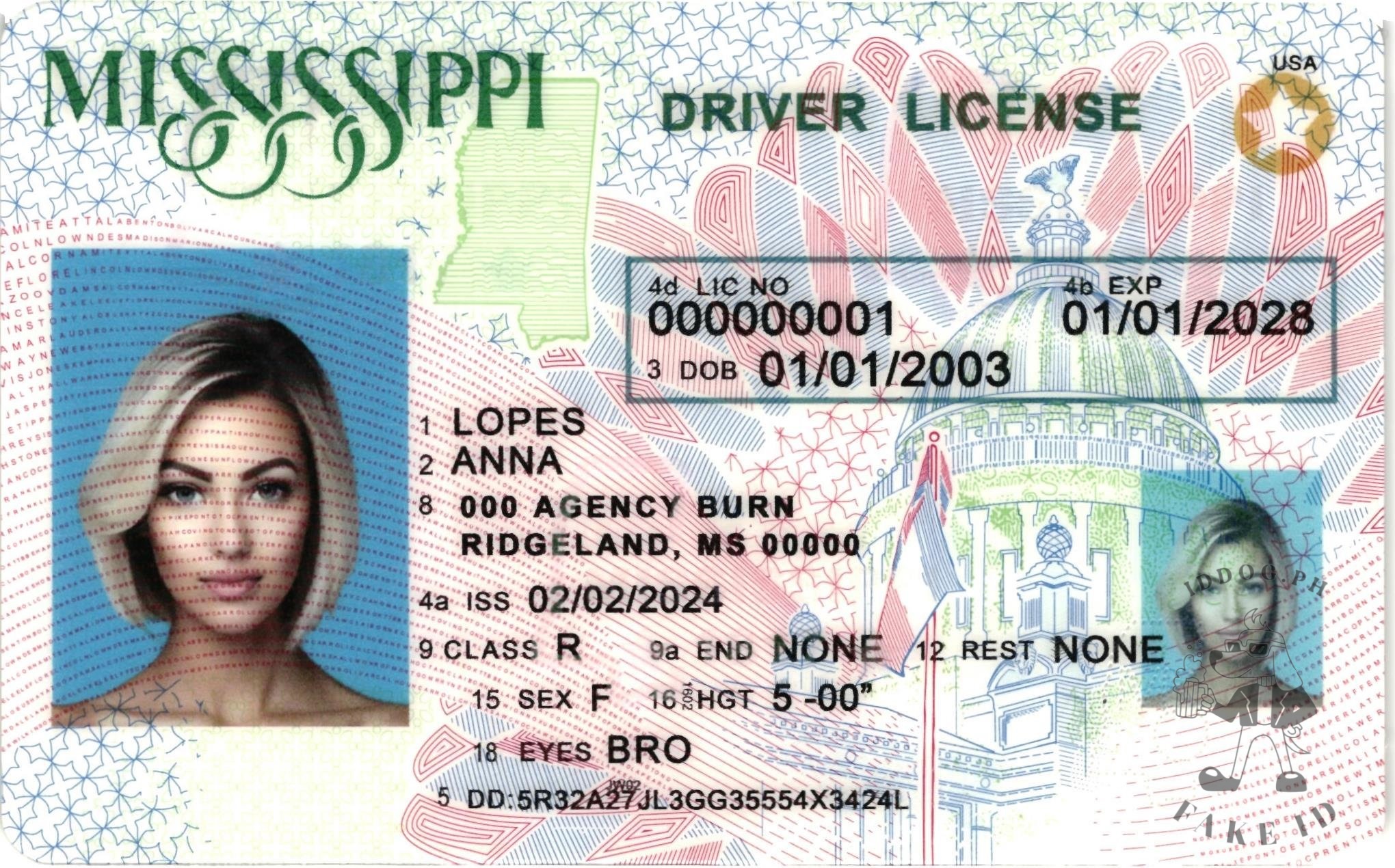 Mississippi Fake ID
