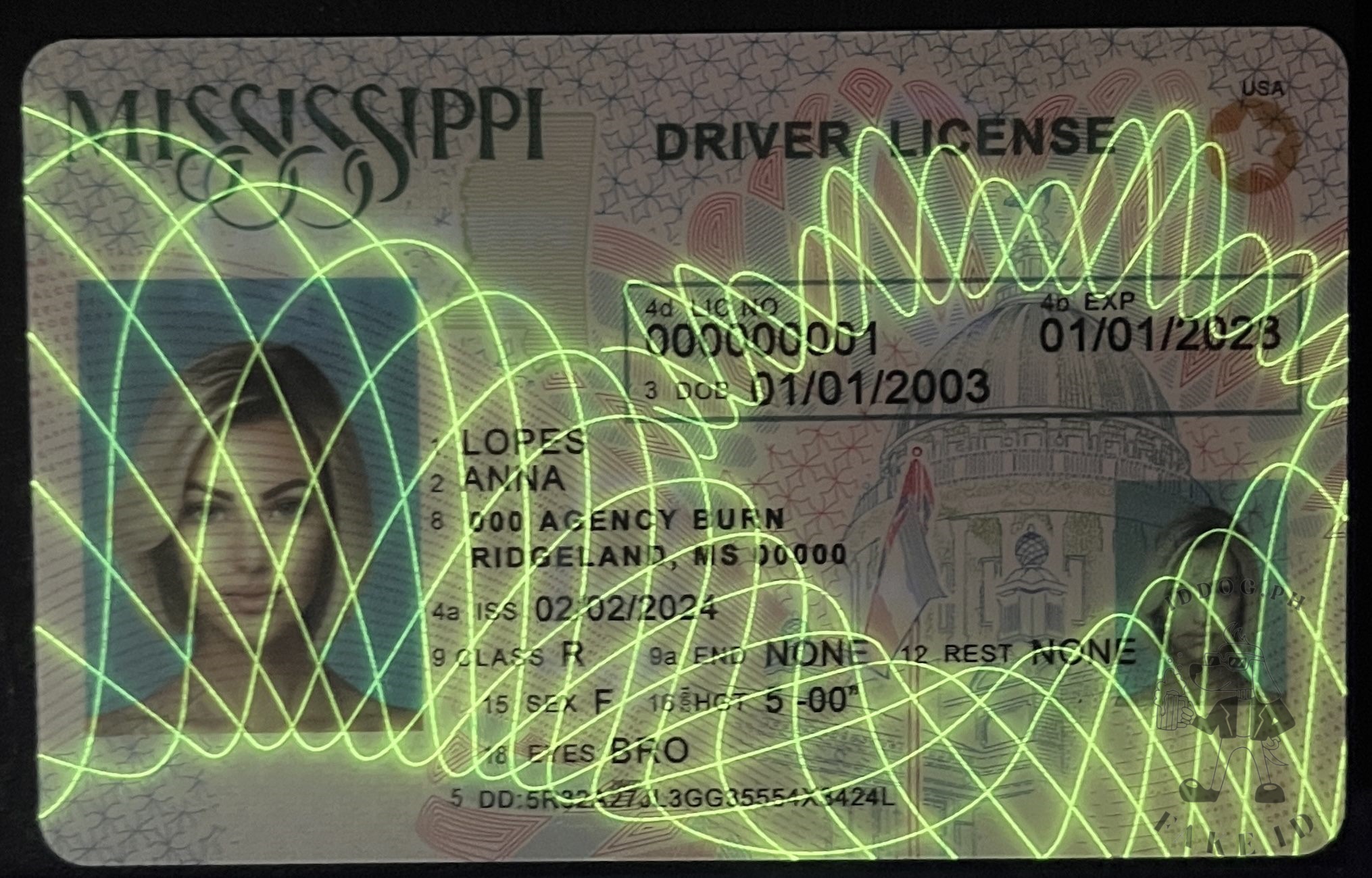 Mississippi Fake ID