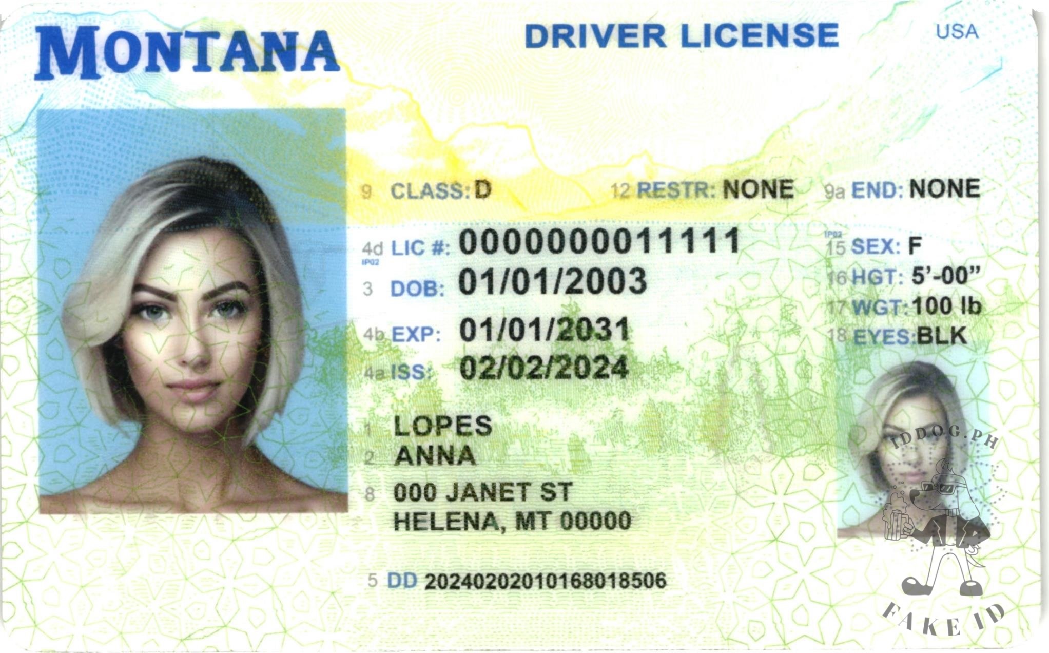 Montana Fake ID