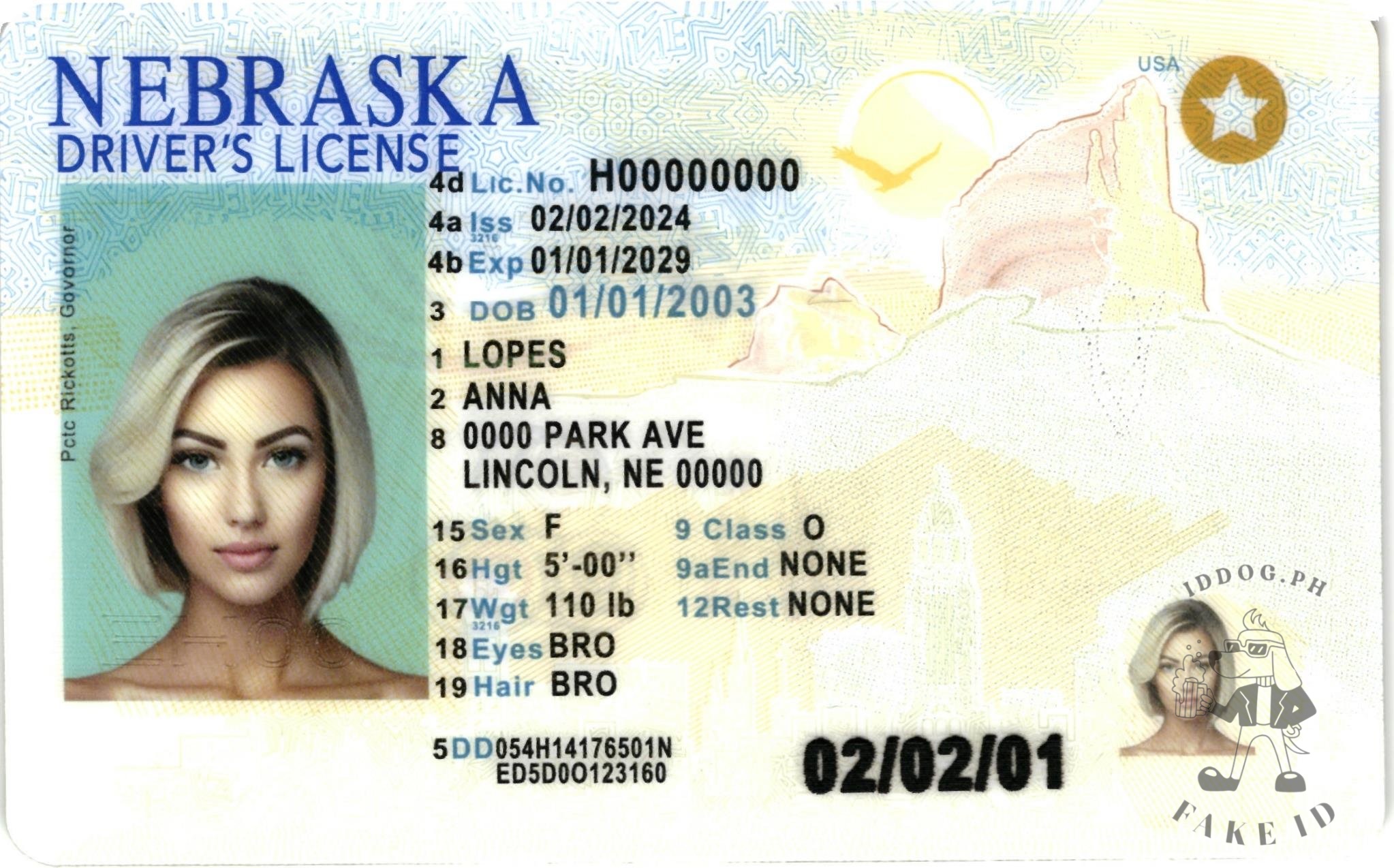 Nebraska Fake ID