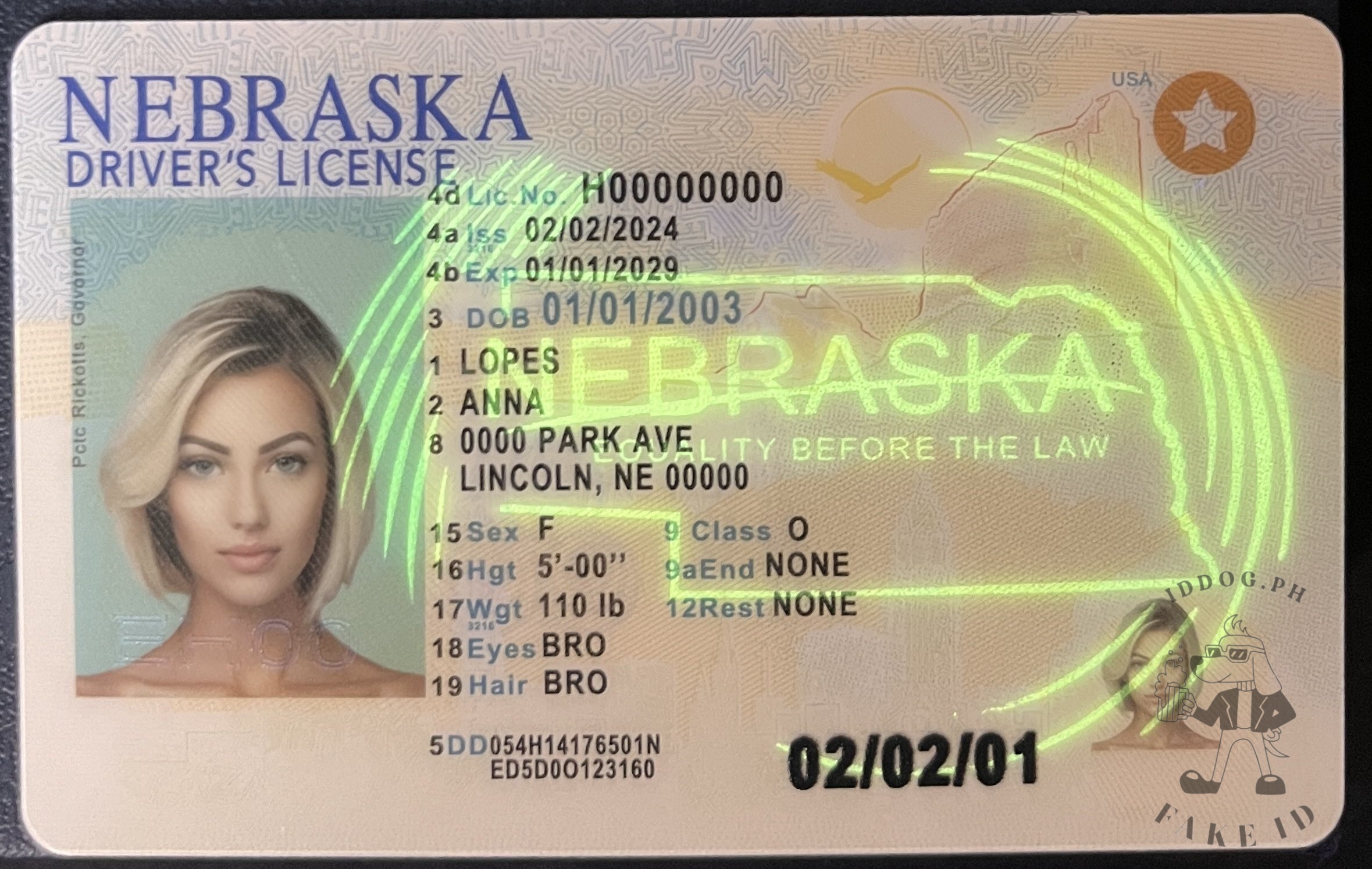 Nebraska Fake ID