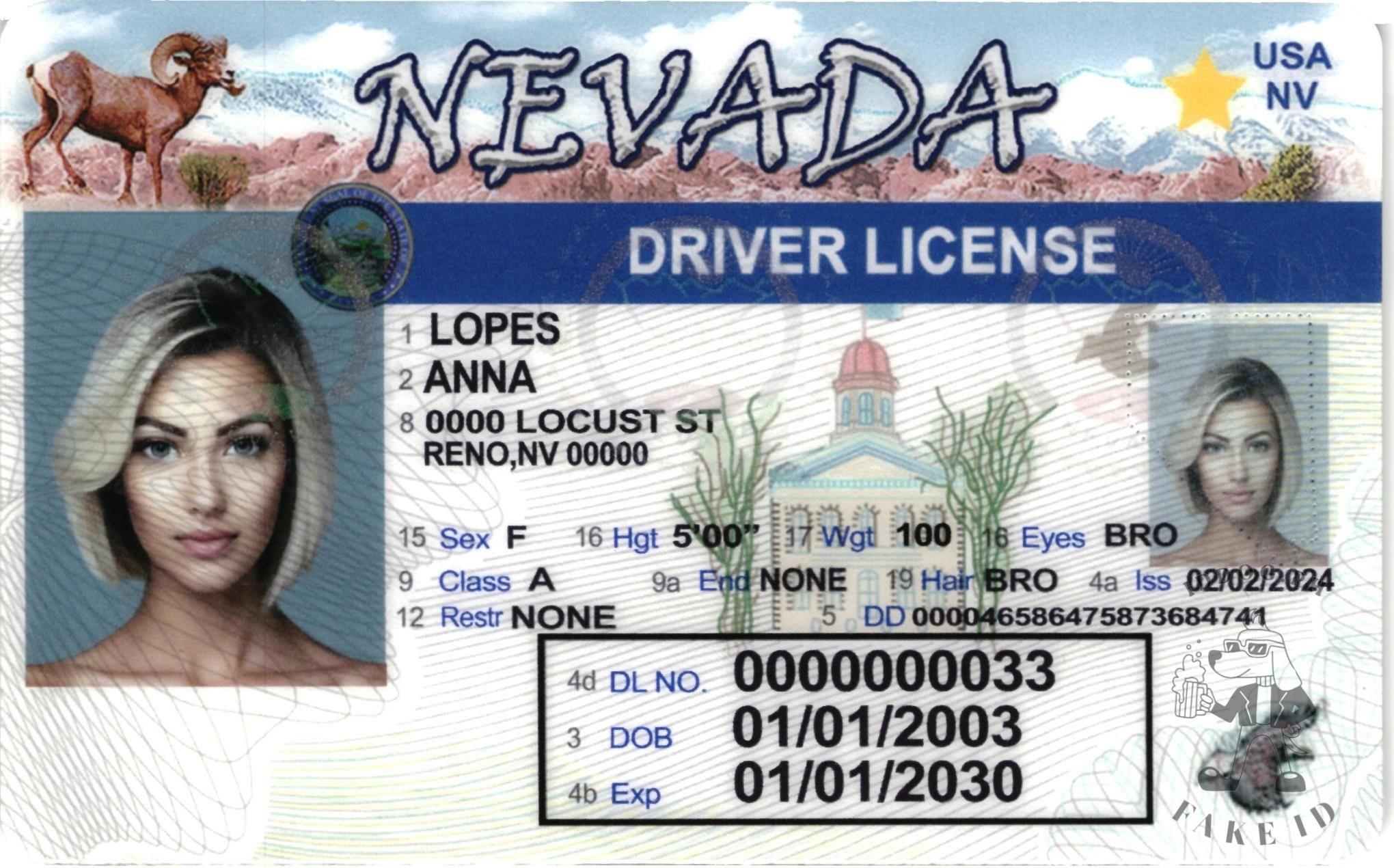 Nevada Fake ID
