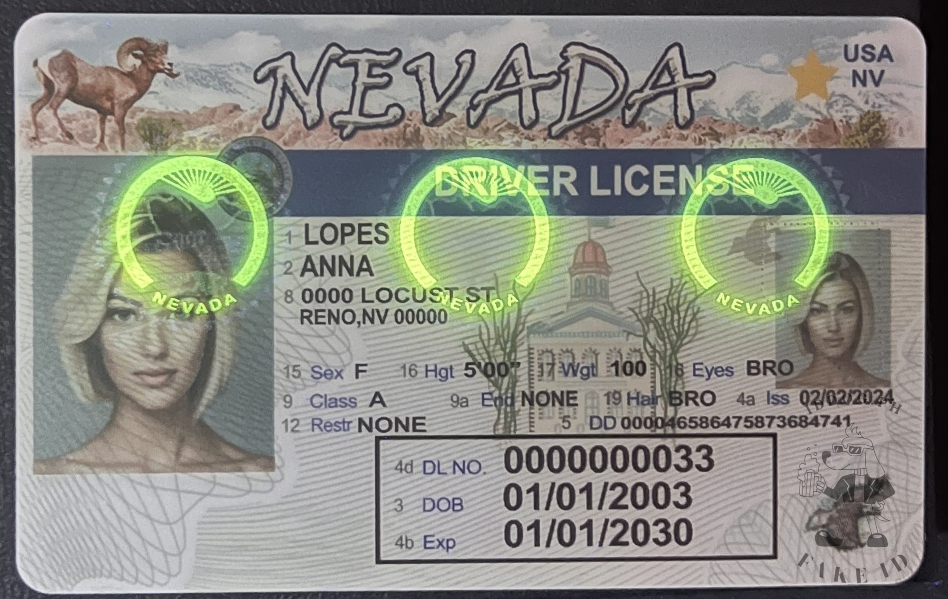 Nevada Fake ID