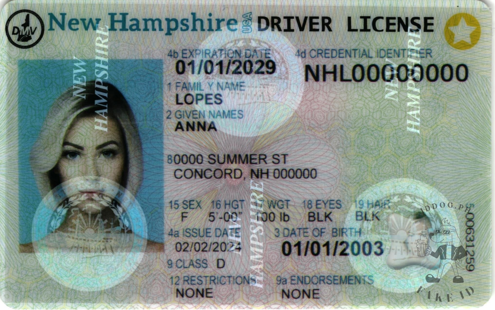 New Hampshire Fake ID