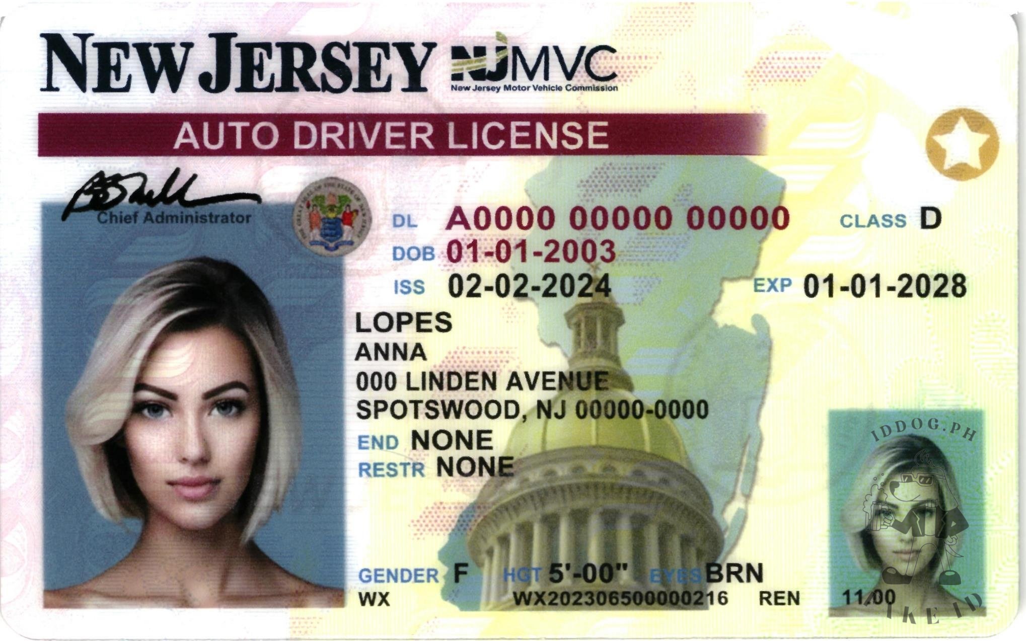 New Jersey Fake ID