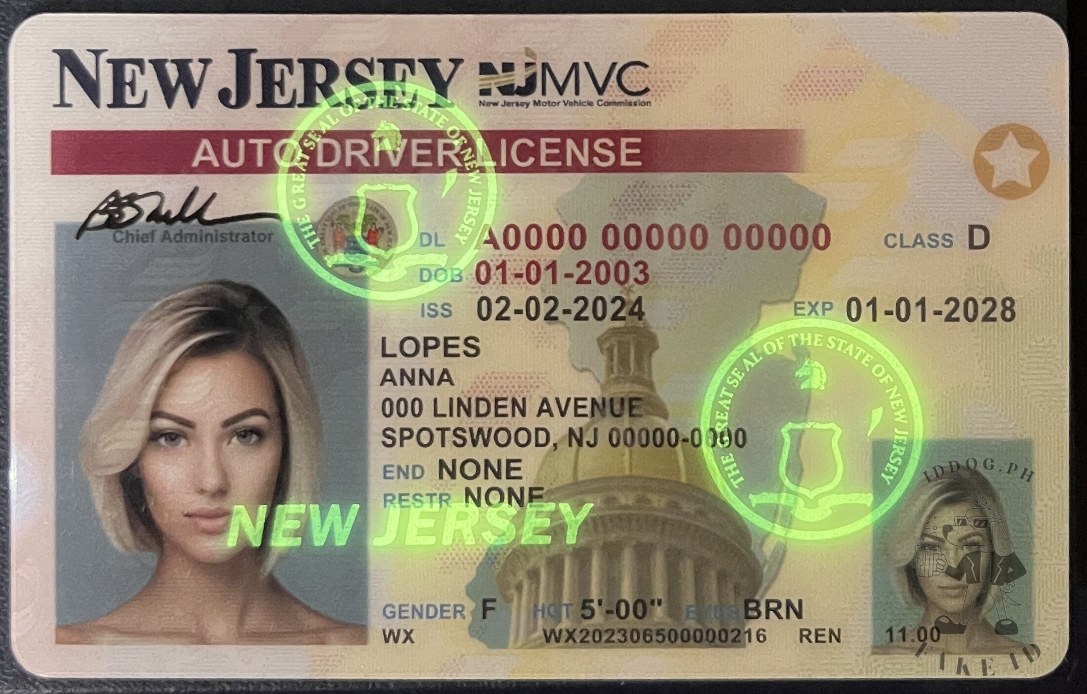 New Jersey Fake ID