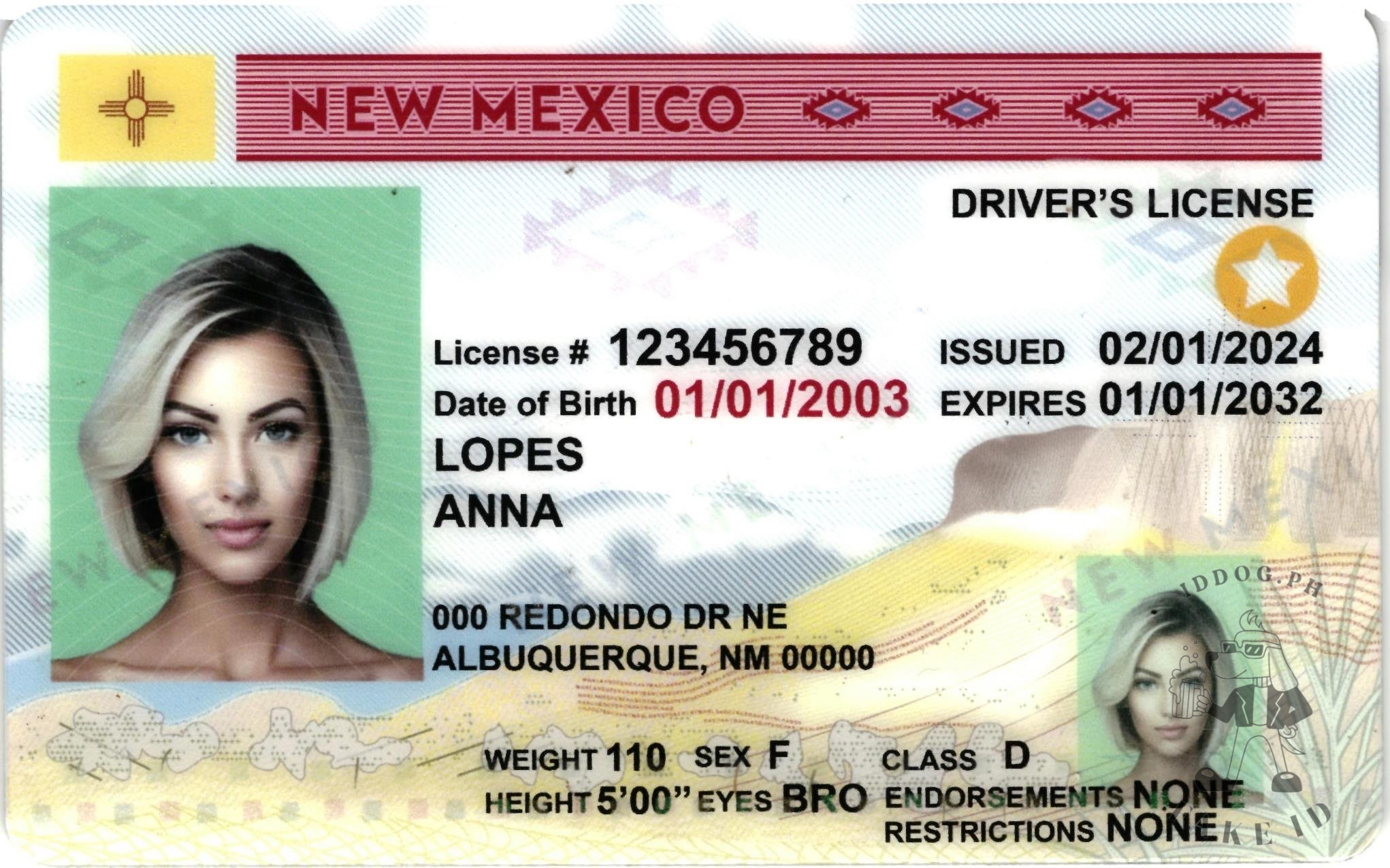 New Mexico Fake ID