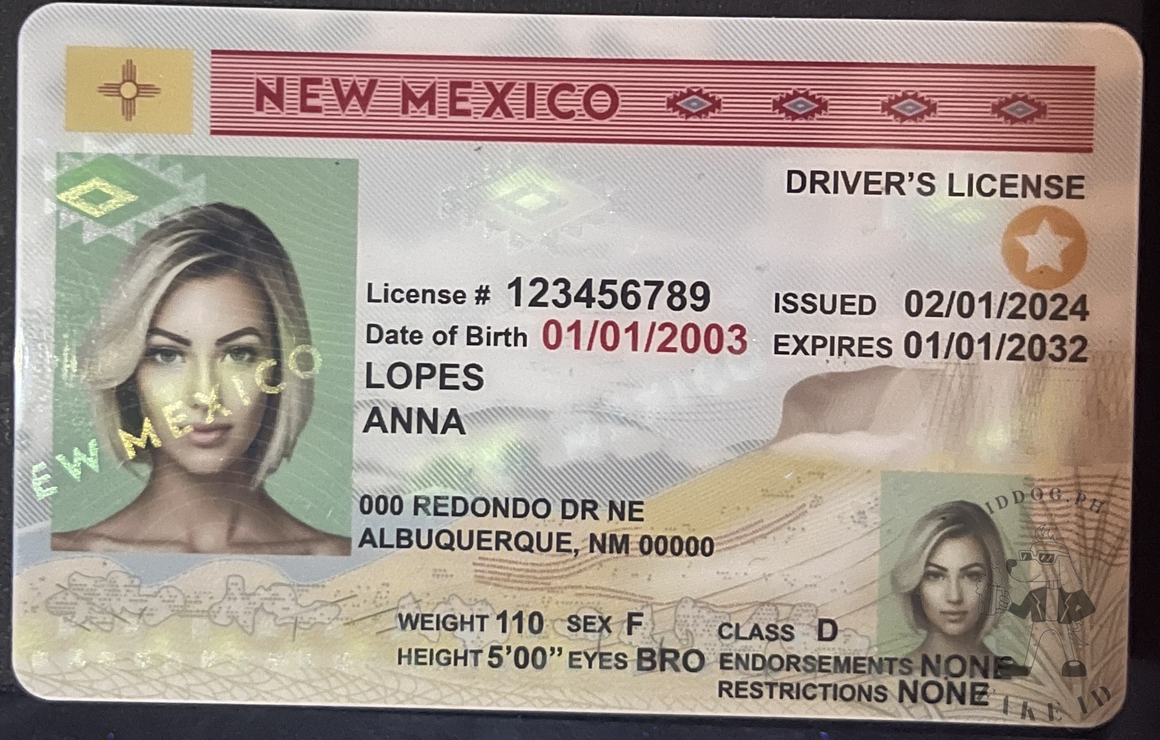 New Mexico Fake ID