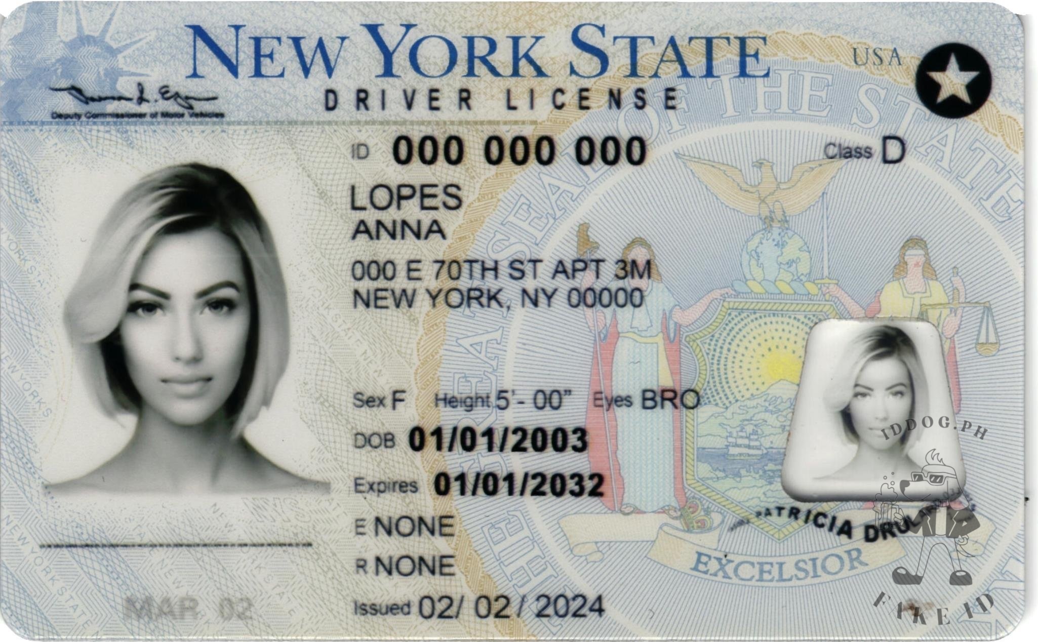 New York Fake ID
