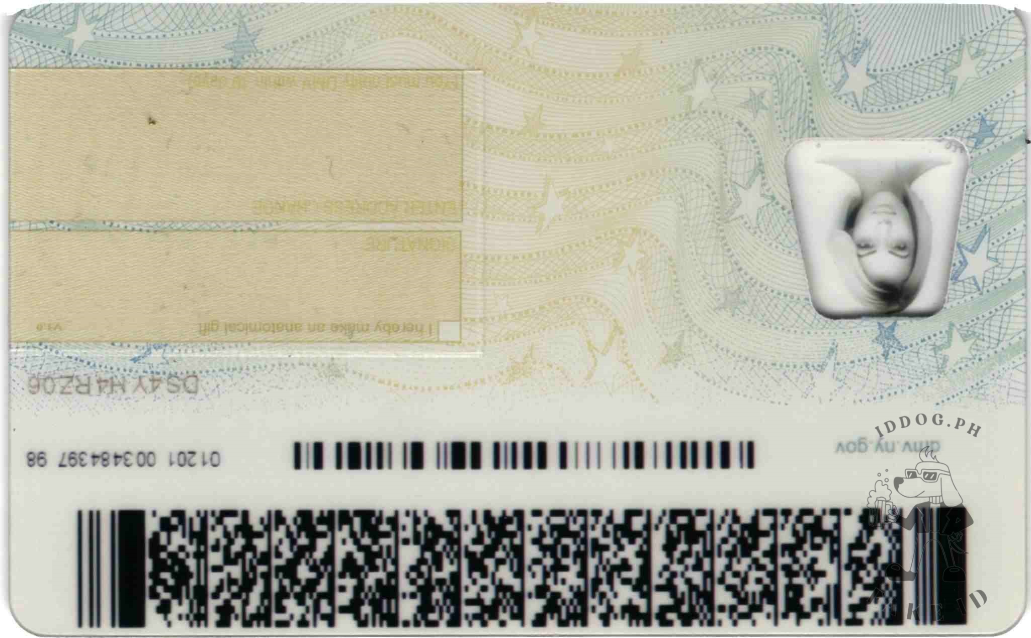 New York Fake ID