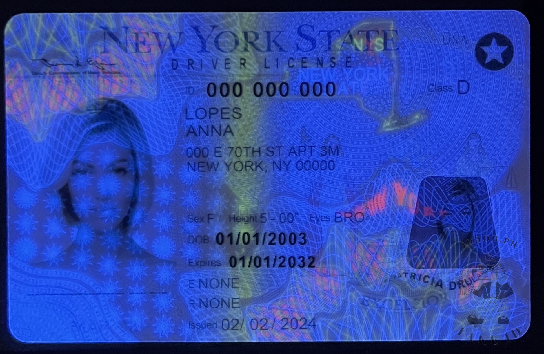 New York Fake ID