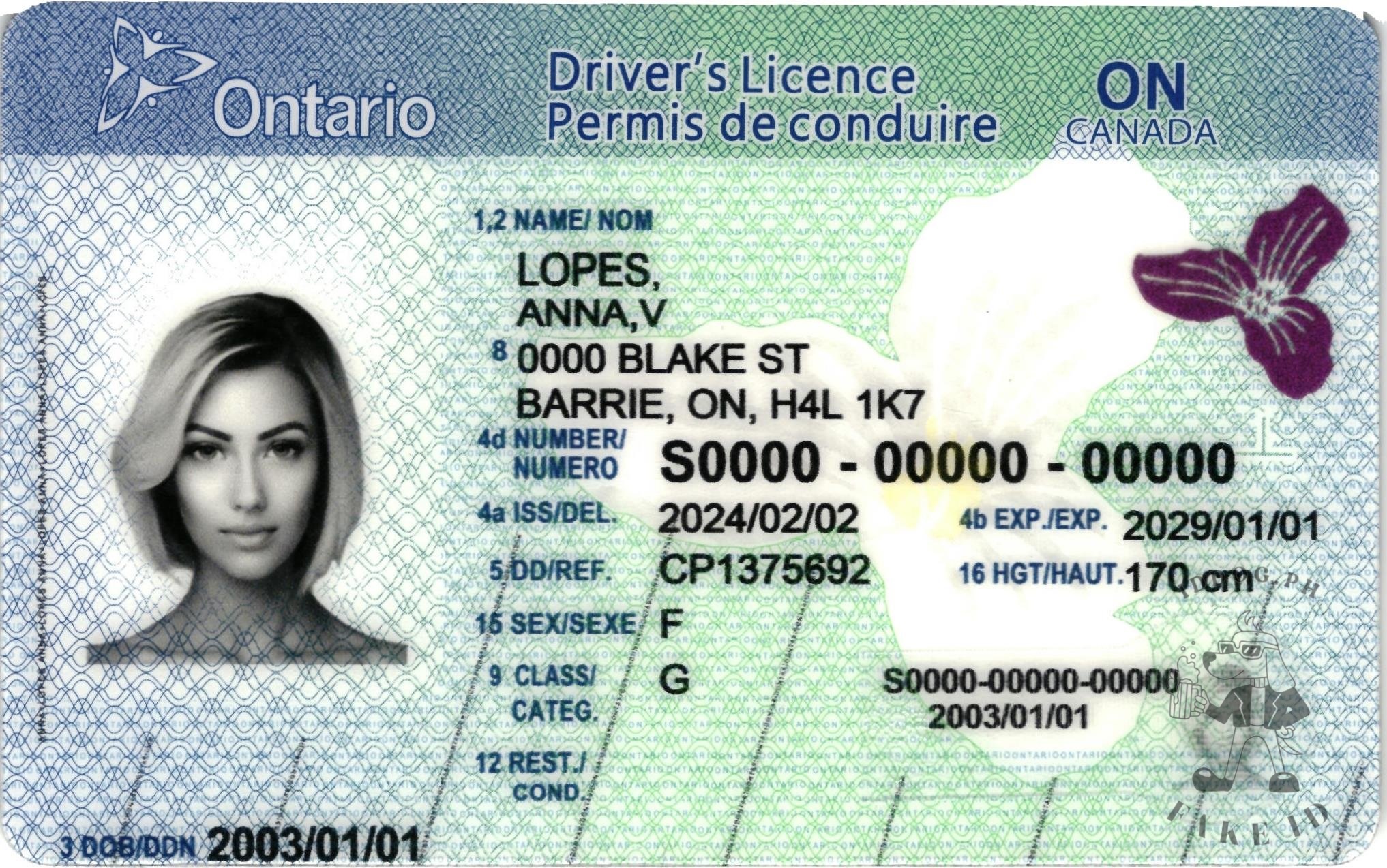 Ontario Canada Fake id