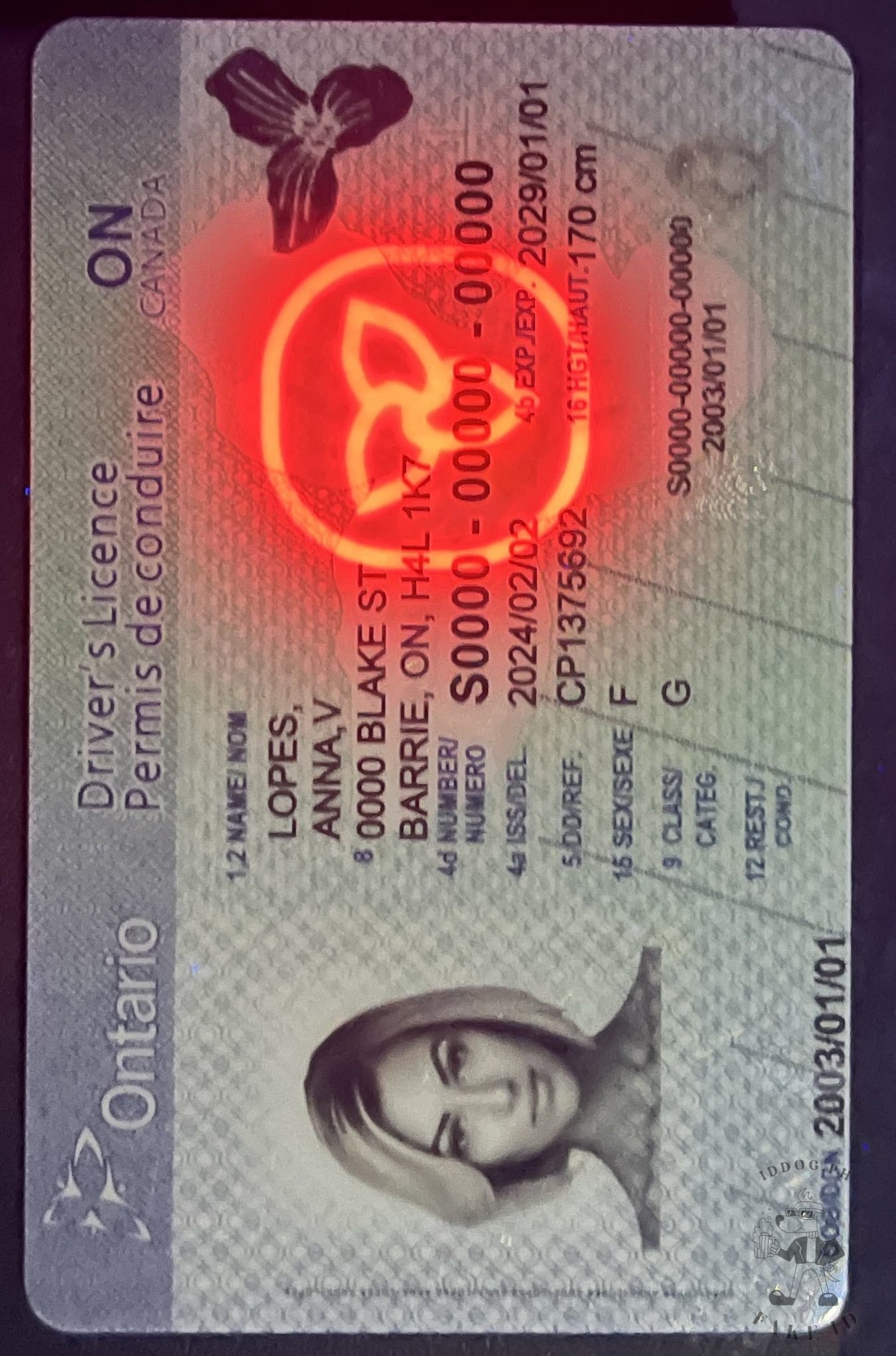 Ontario Canada Fake id