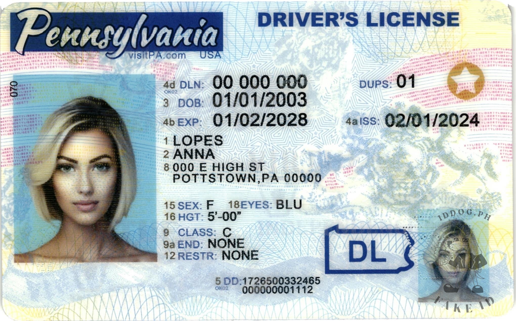 Pennsylvania Fake ID