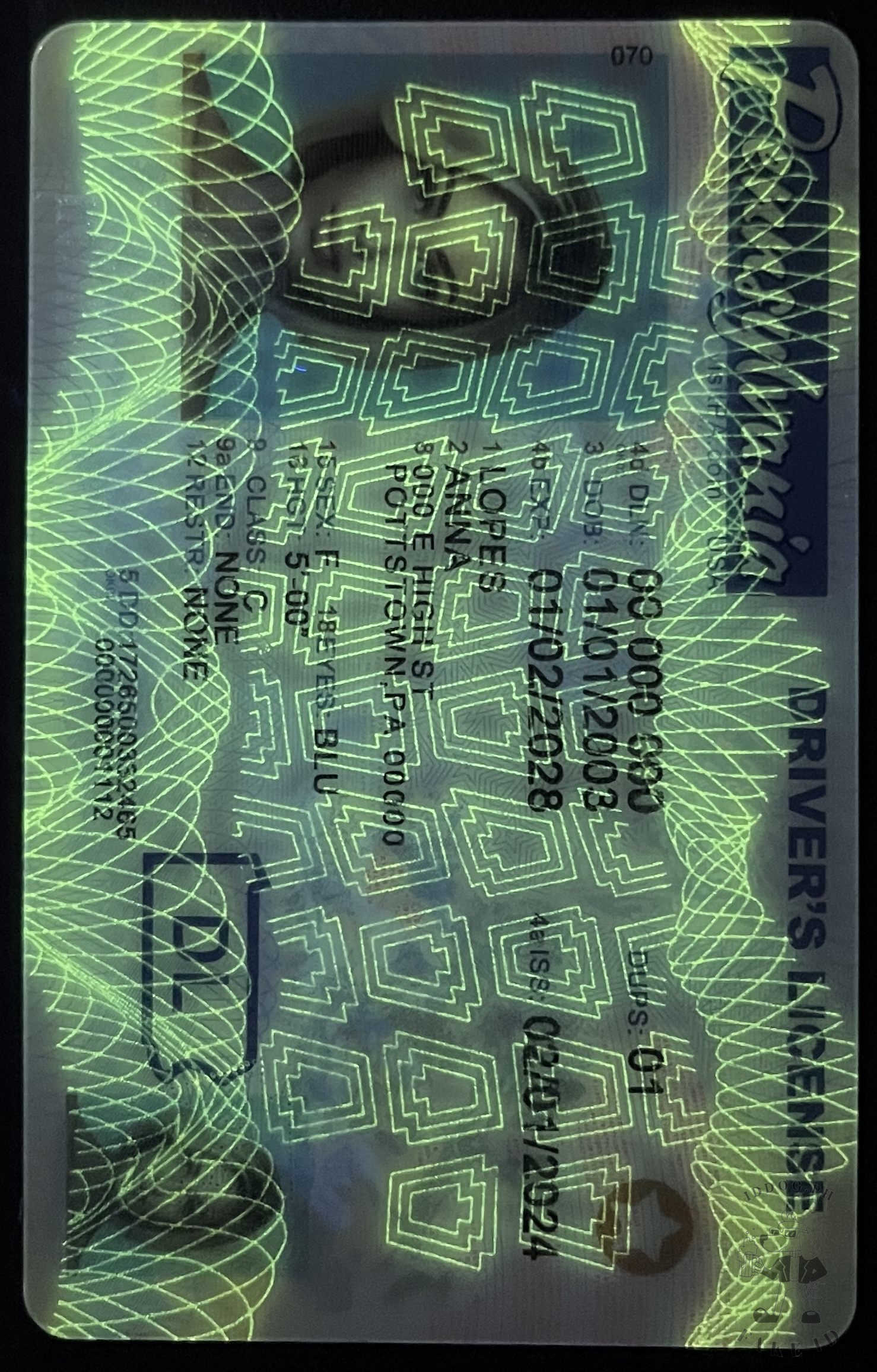 Pennsylvania Fake ID