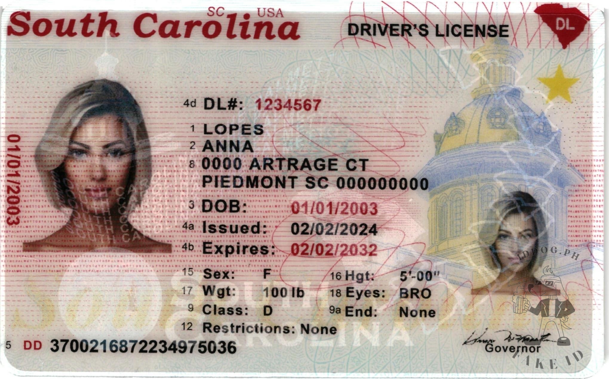 South Carolina Fake ID