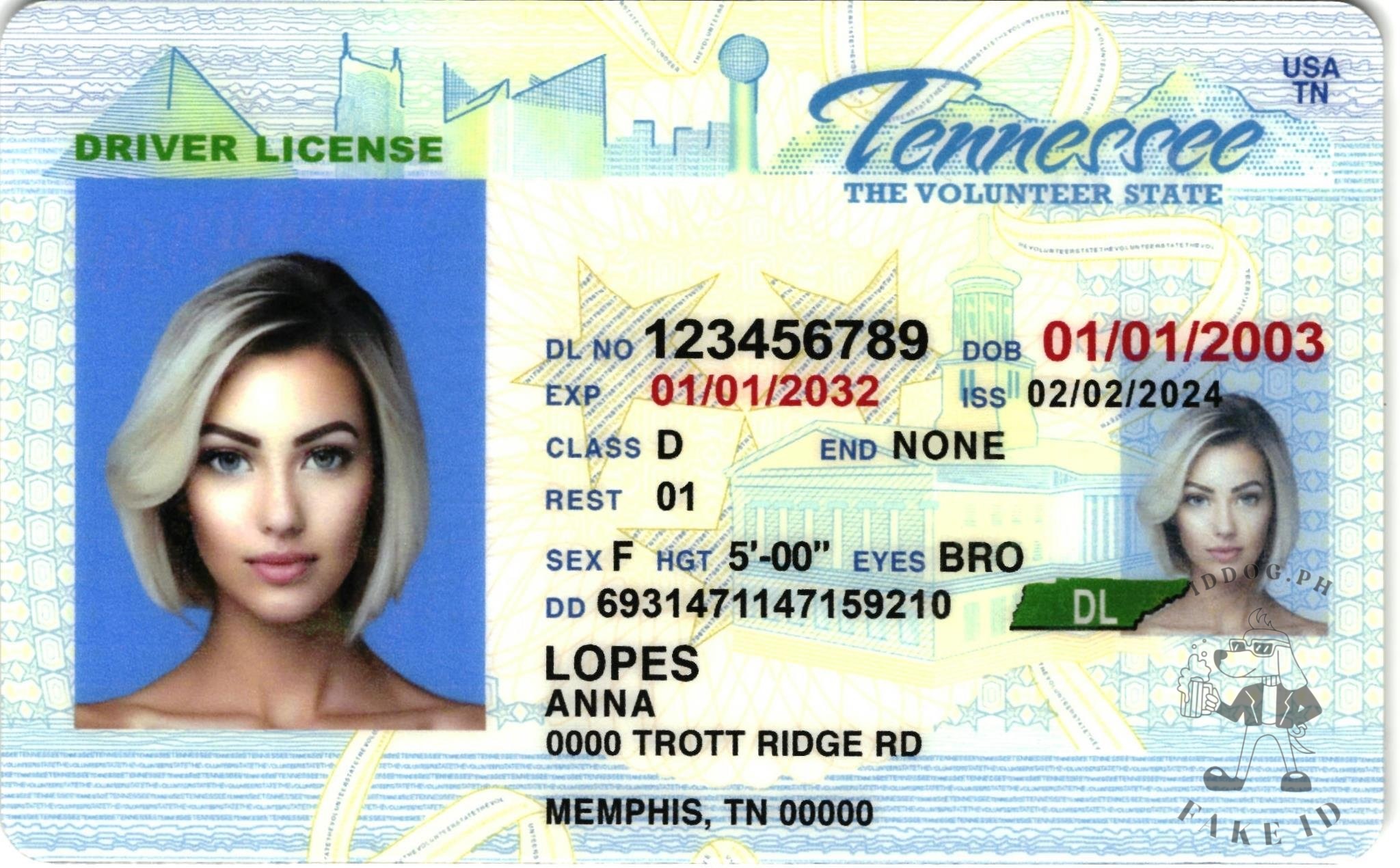 Tennessee Fake ID
