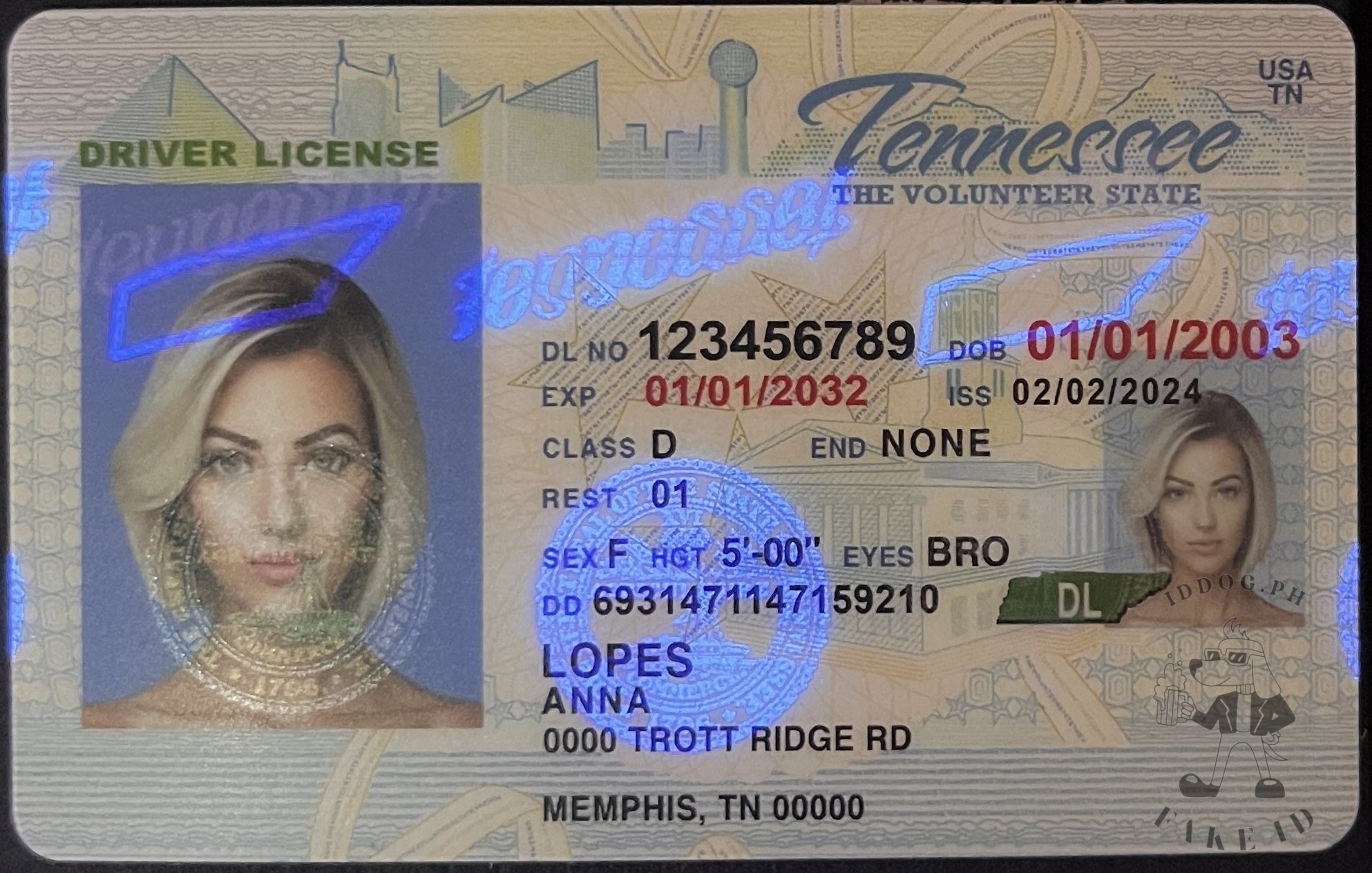 Tennessee Fake ID
