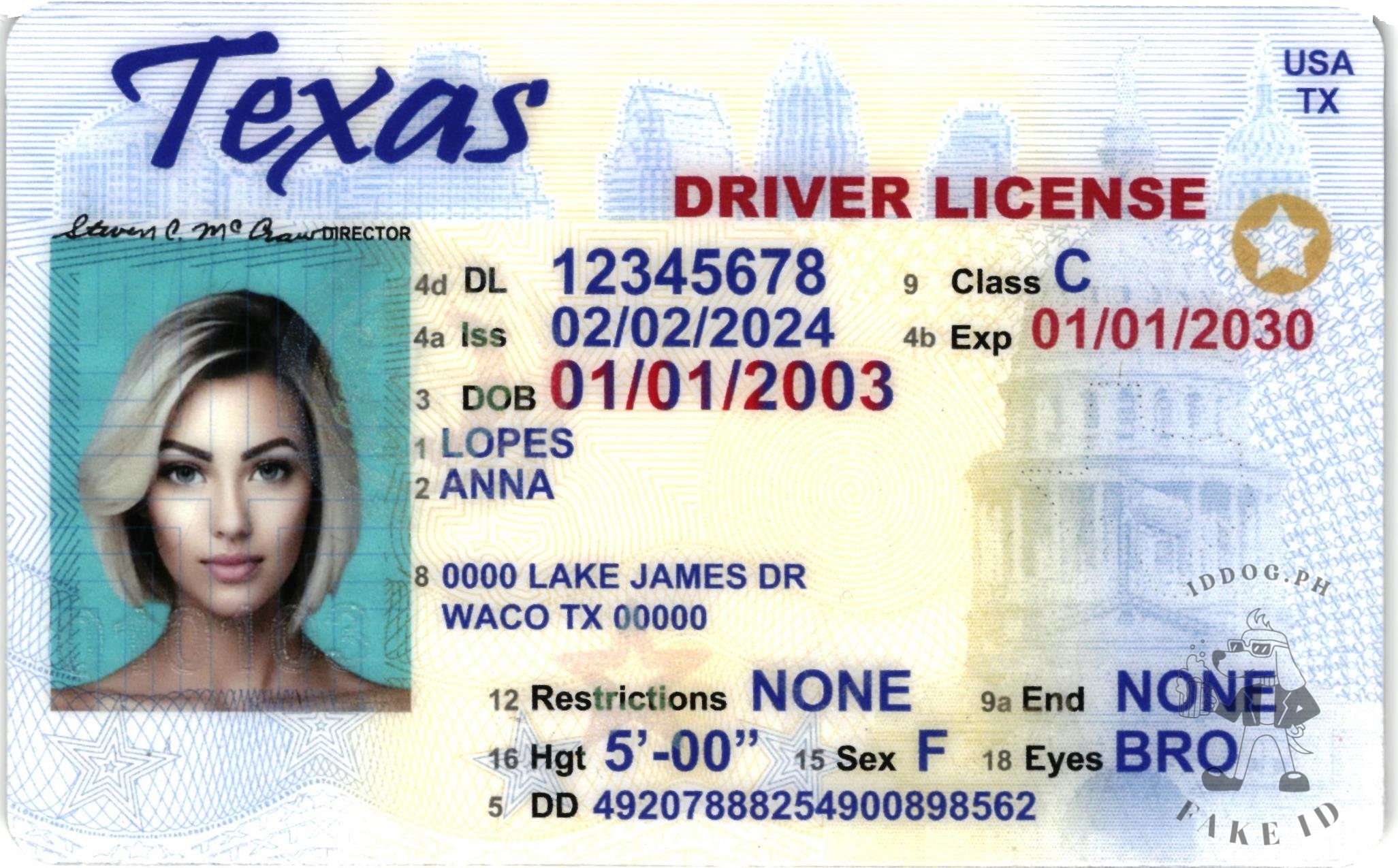Texas(old) Fake ID
