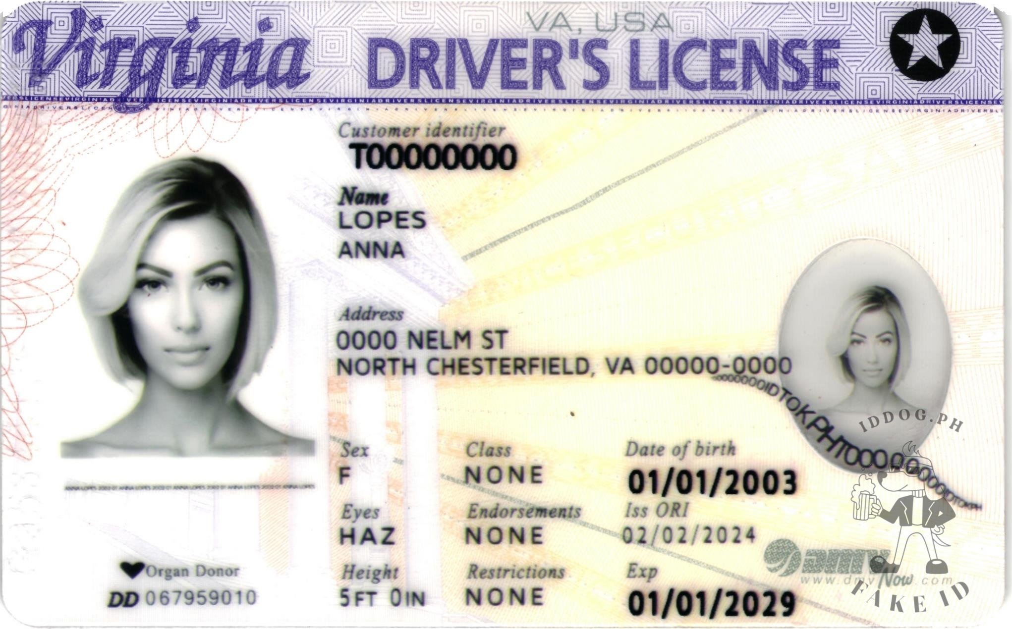 Virginia Fake ID