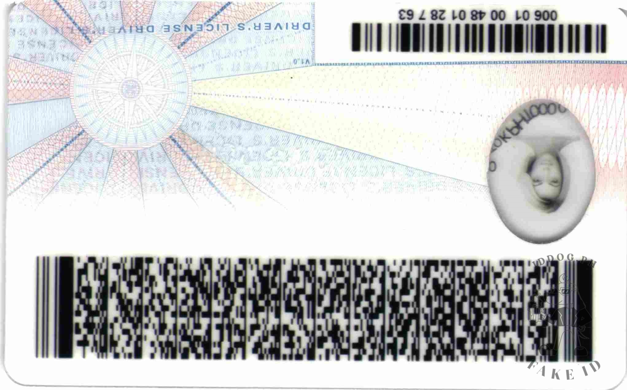 Virginia Fake ID