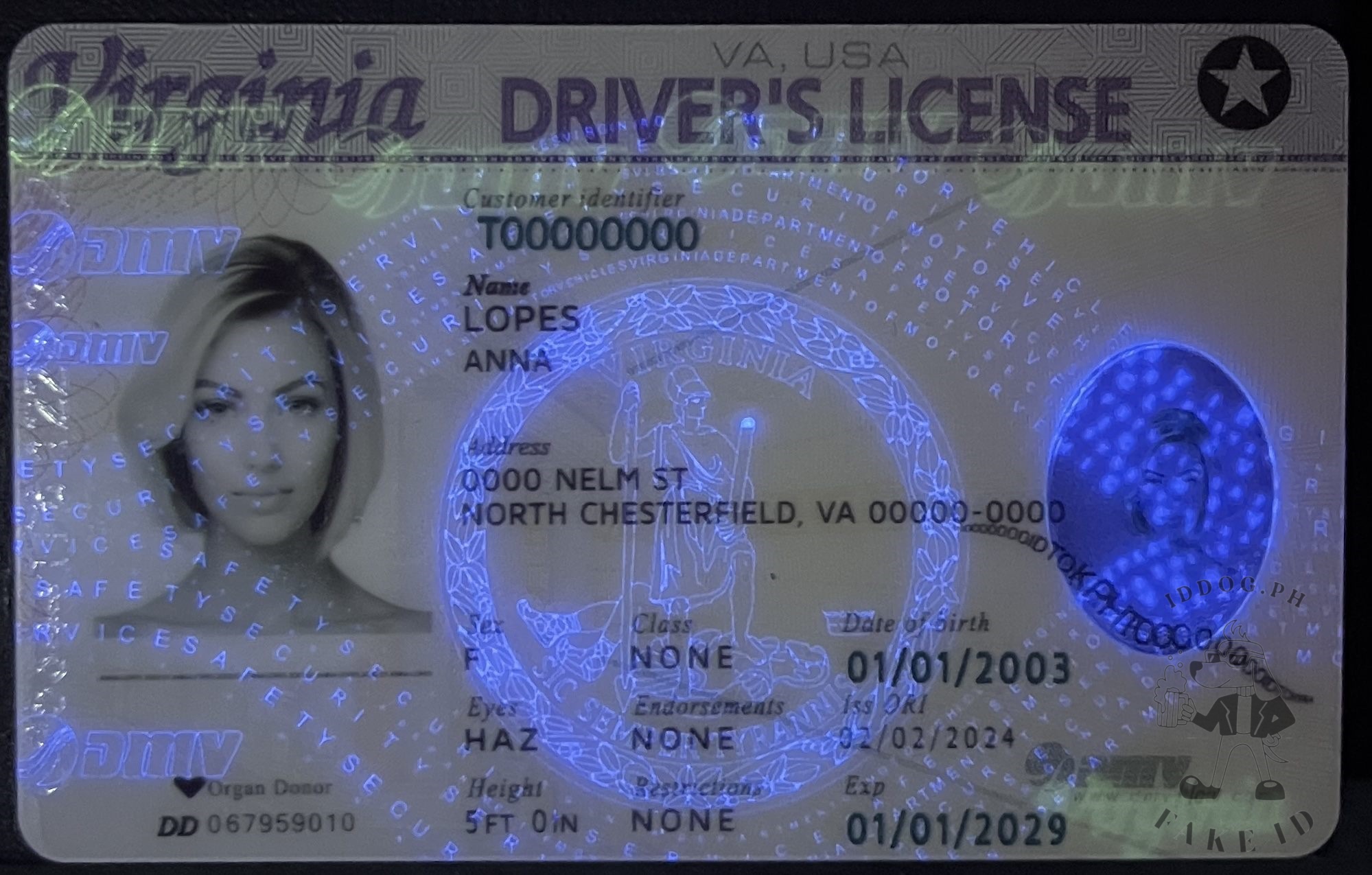 Virginia Fake ID