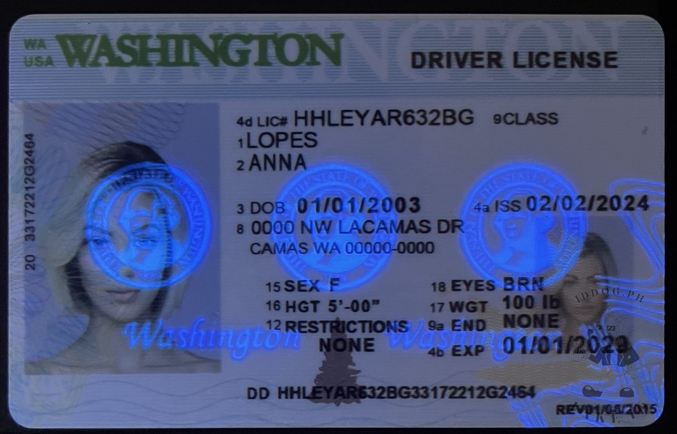 Washington Fake ID