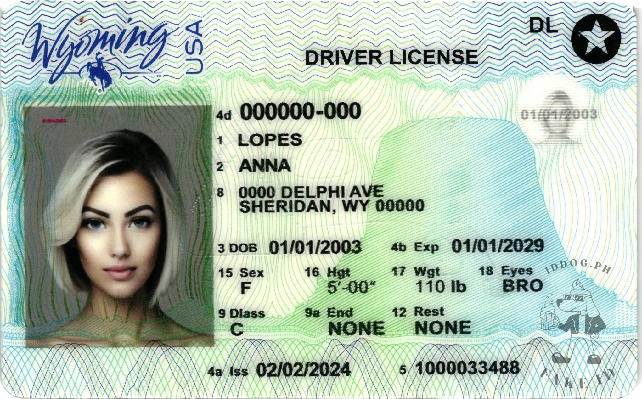 Wyoming Fake ID