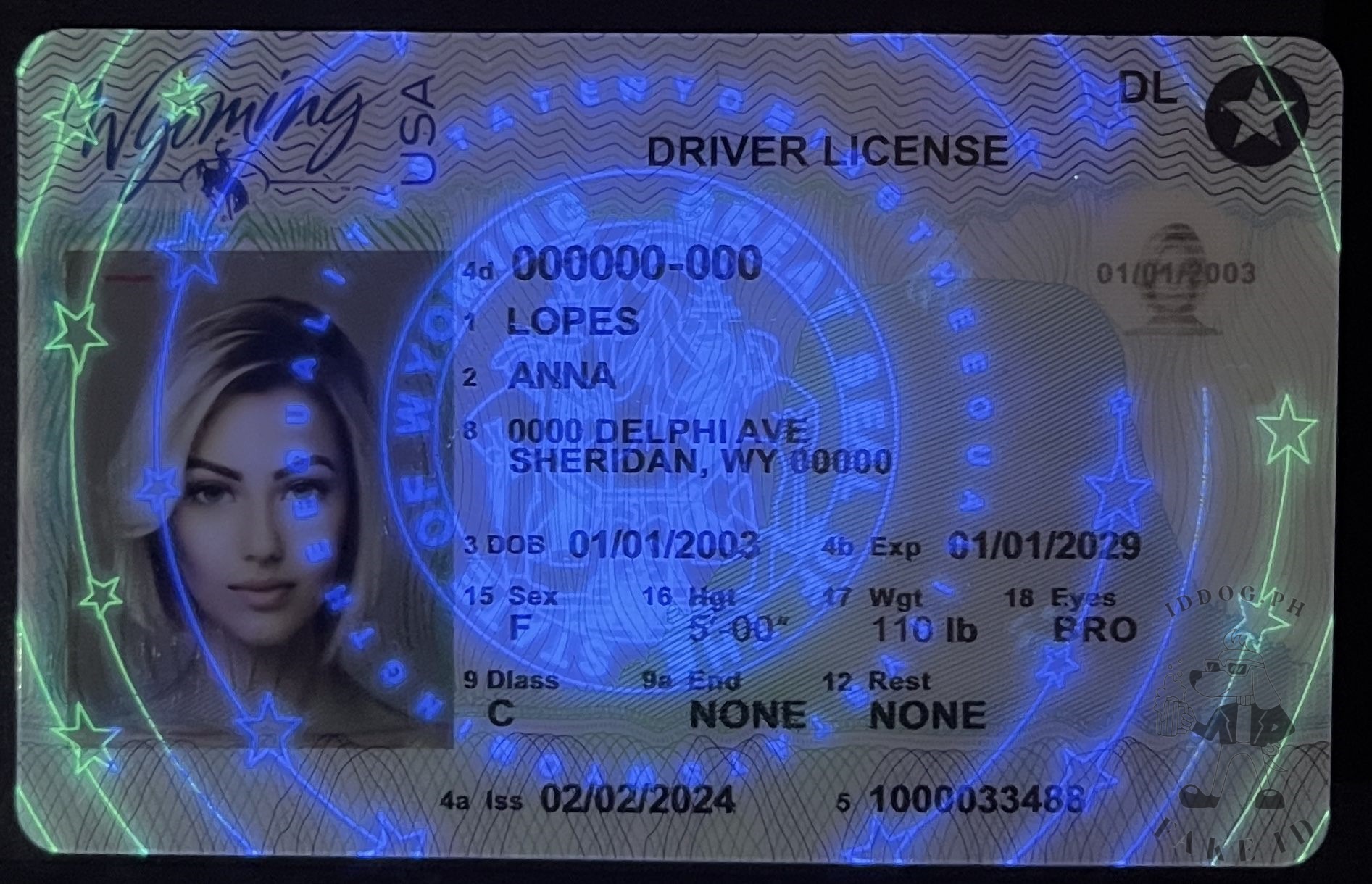 Wyoming Fake ID