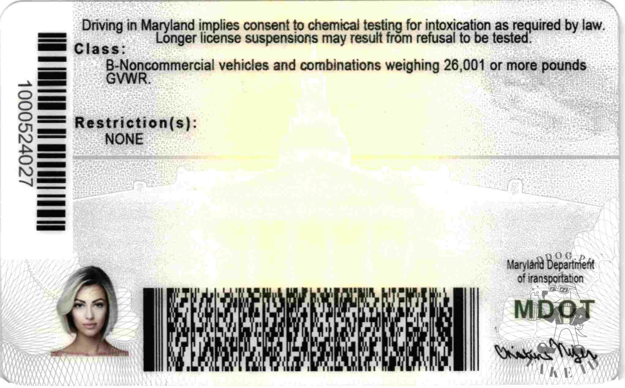 Maryland Fake ID