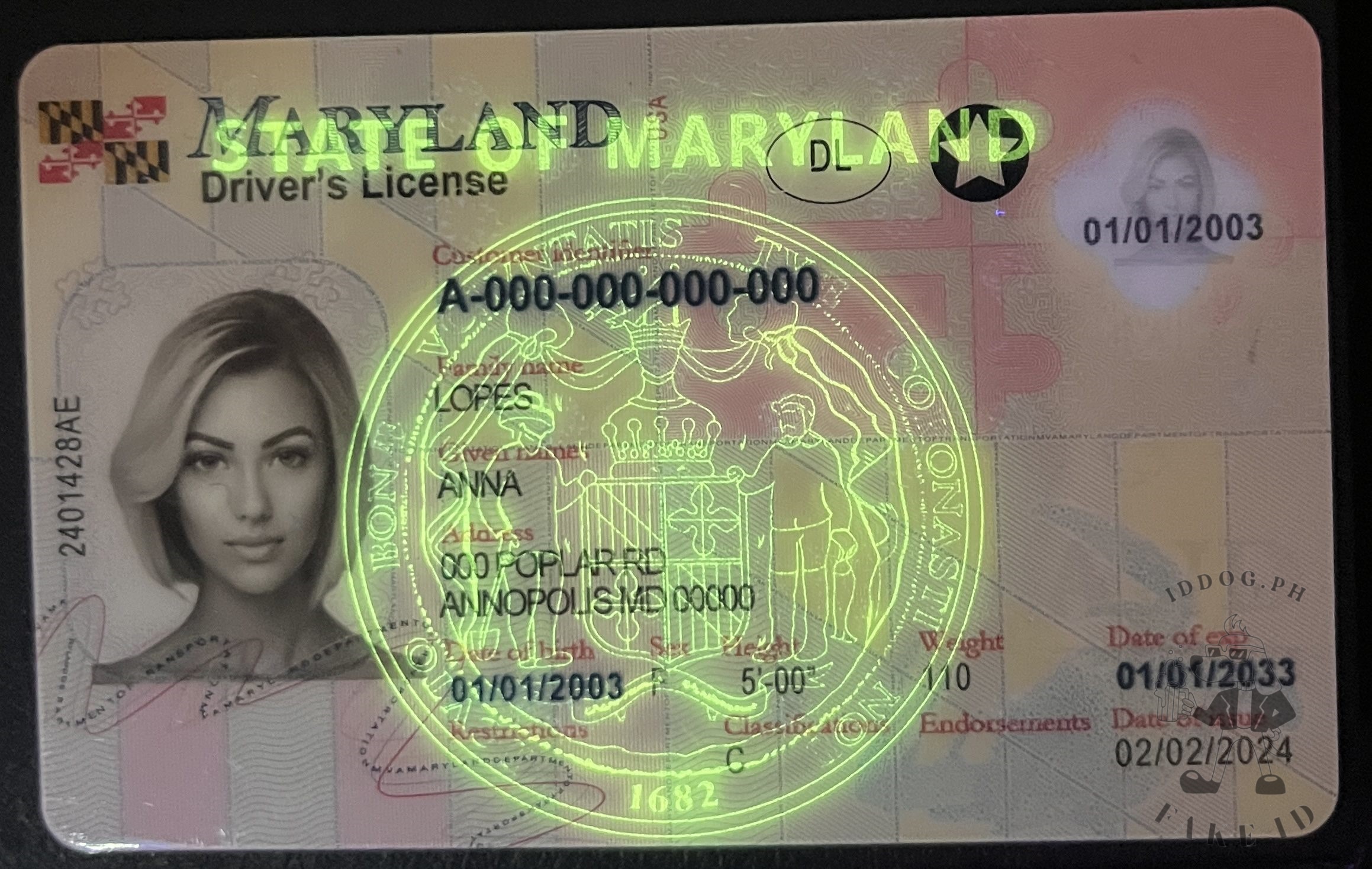 Maryland Fake ID