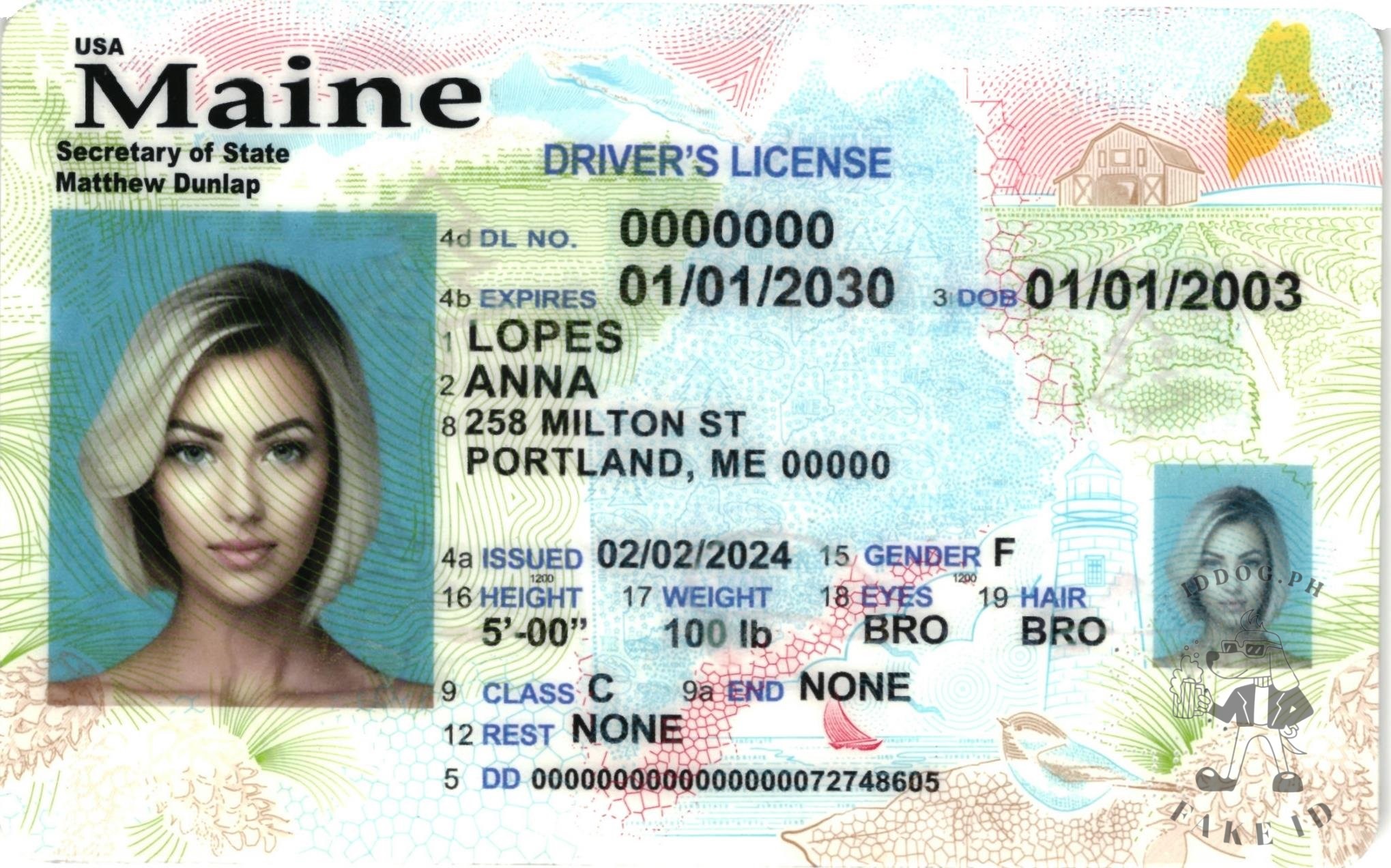 Maine Fake ID