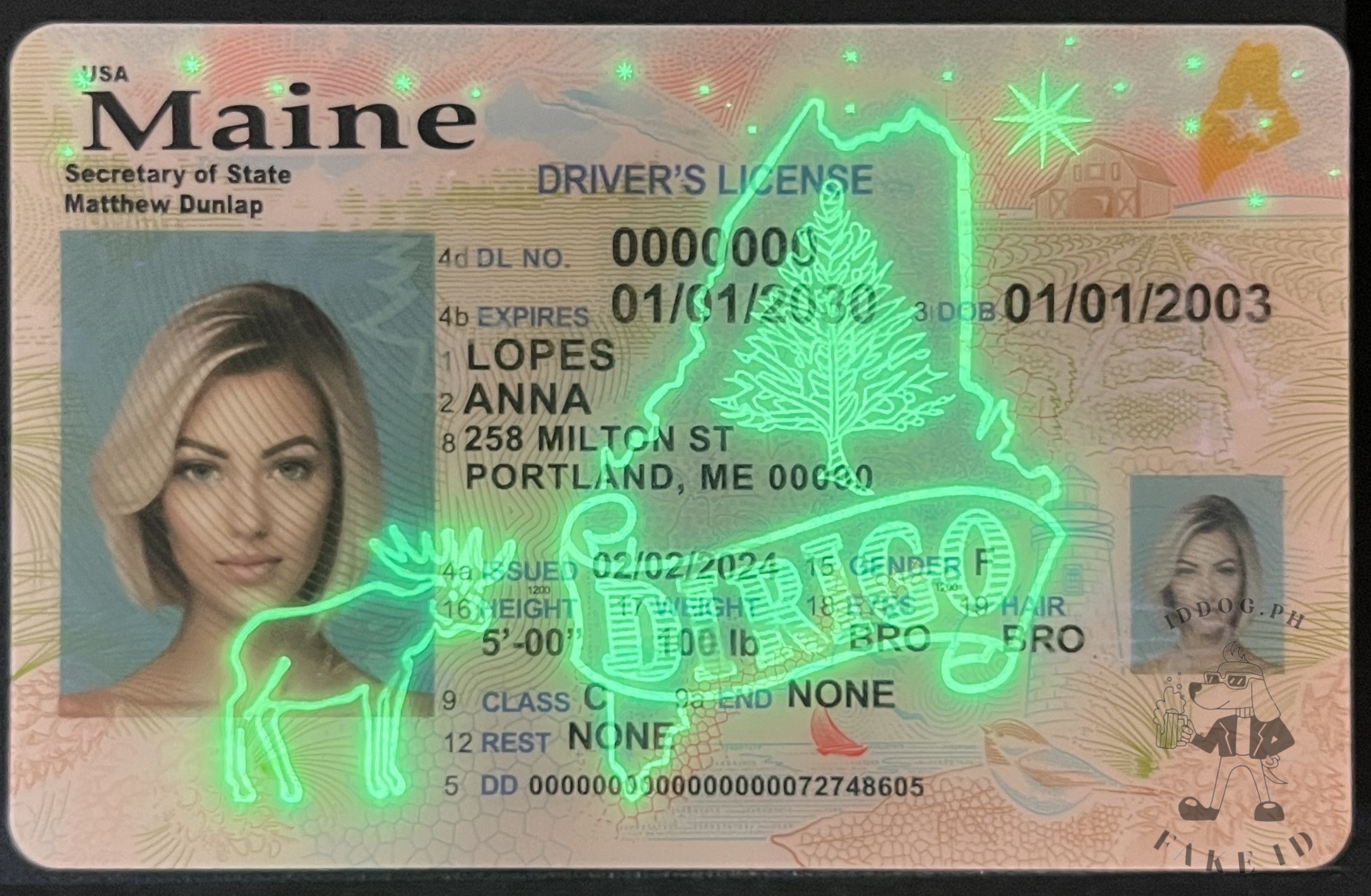 Maine Fake ID