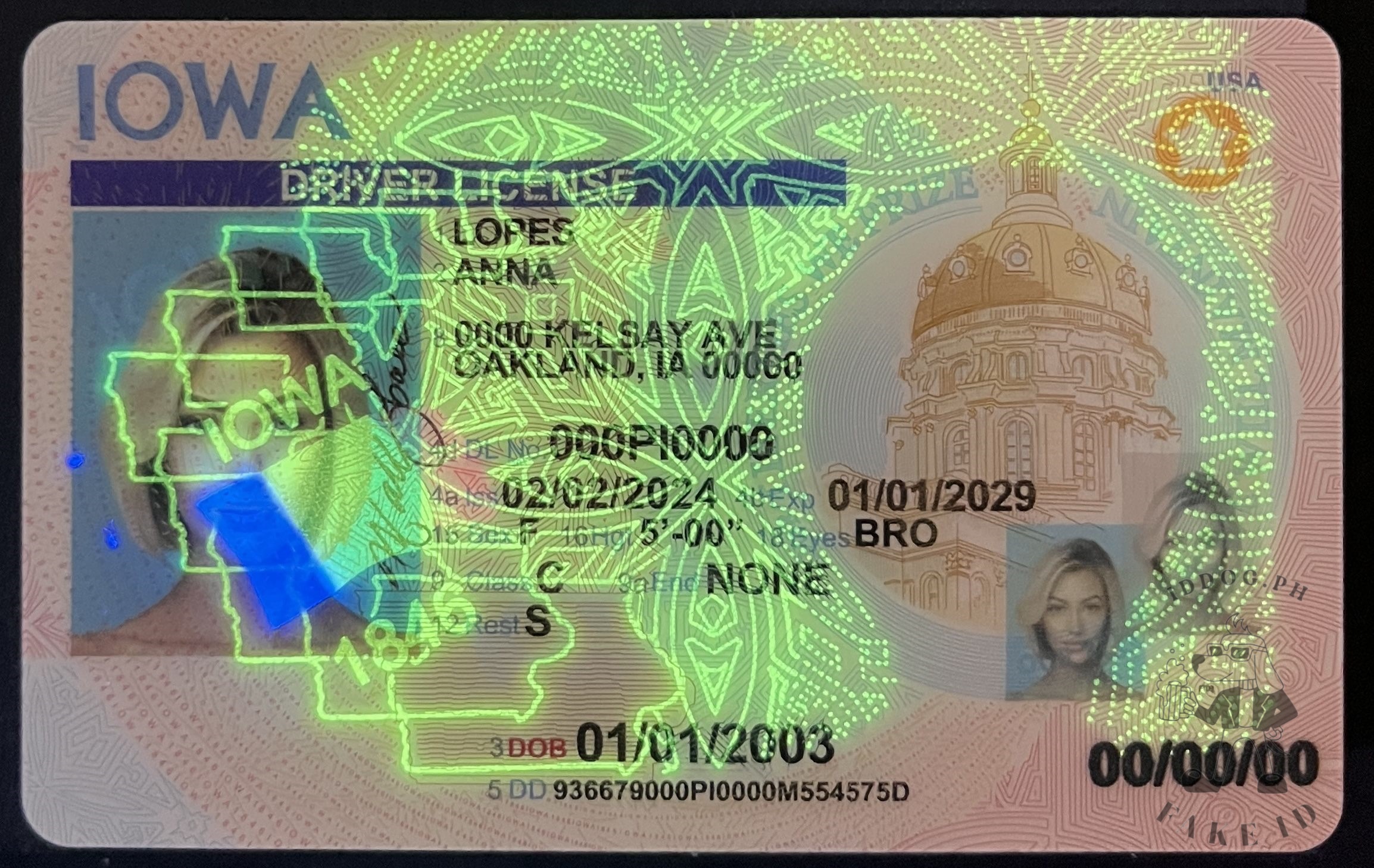 Iowa Fake ID