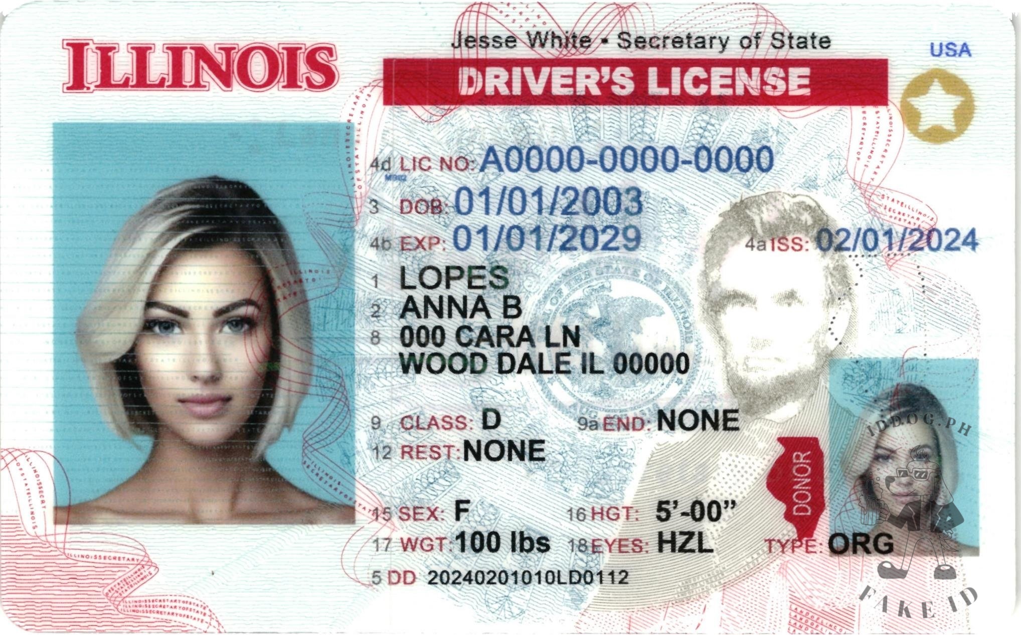 Illinois Fake ID