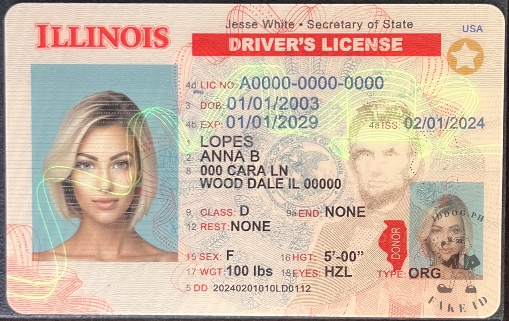 Illinois Fake ID