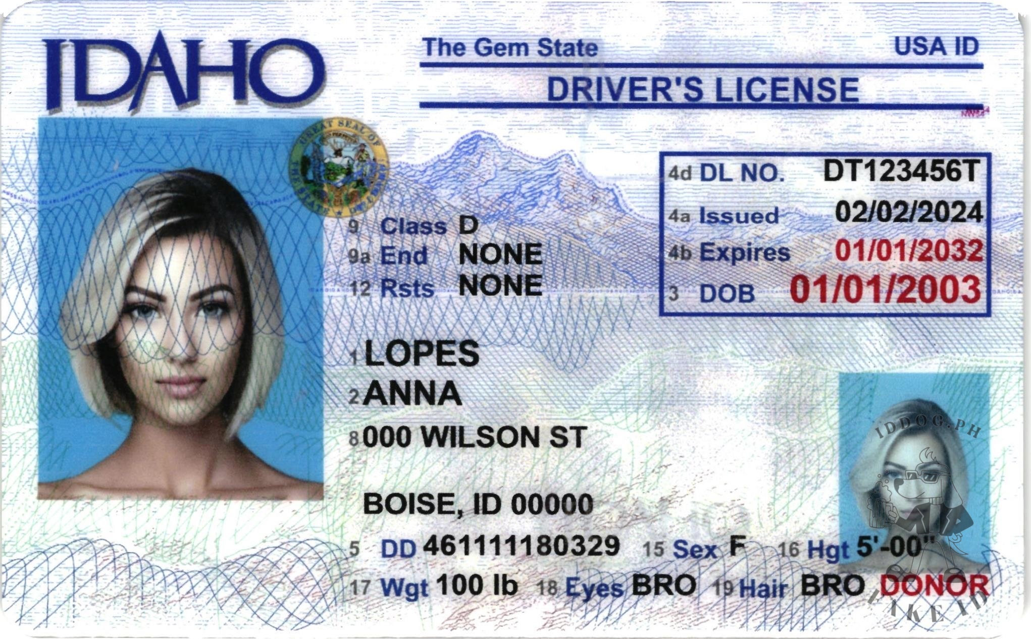 Idaho Fake ID