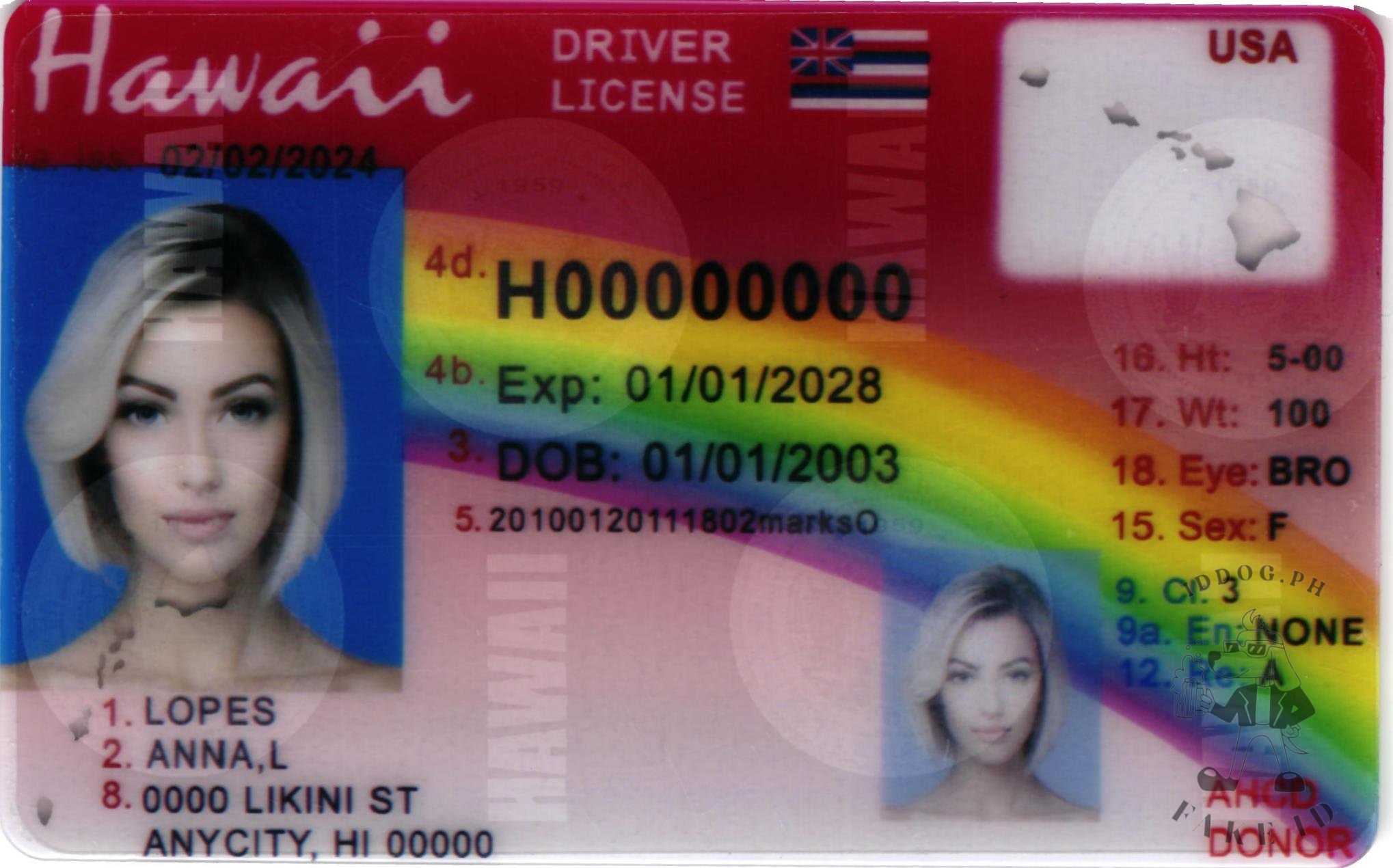 Hawaii Fake ID