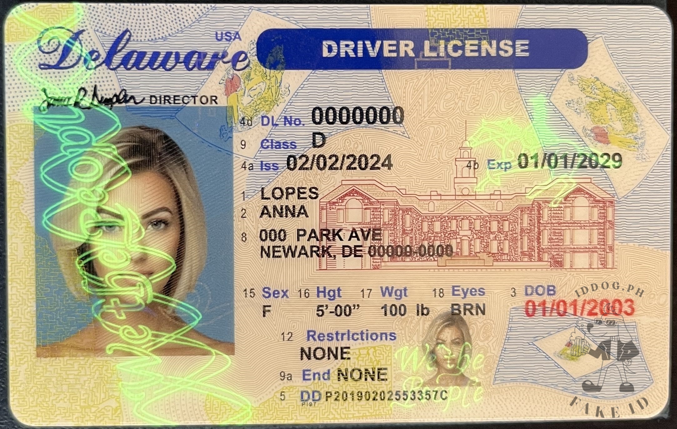 Delaware Fake ID