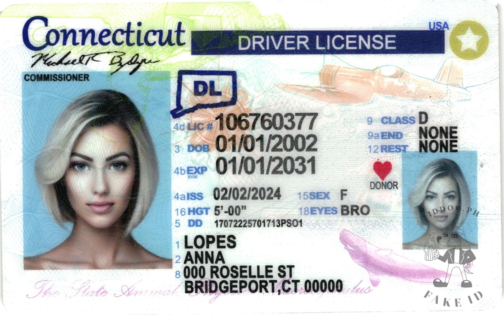 Connecticut Fake ID
