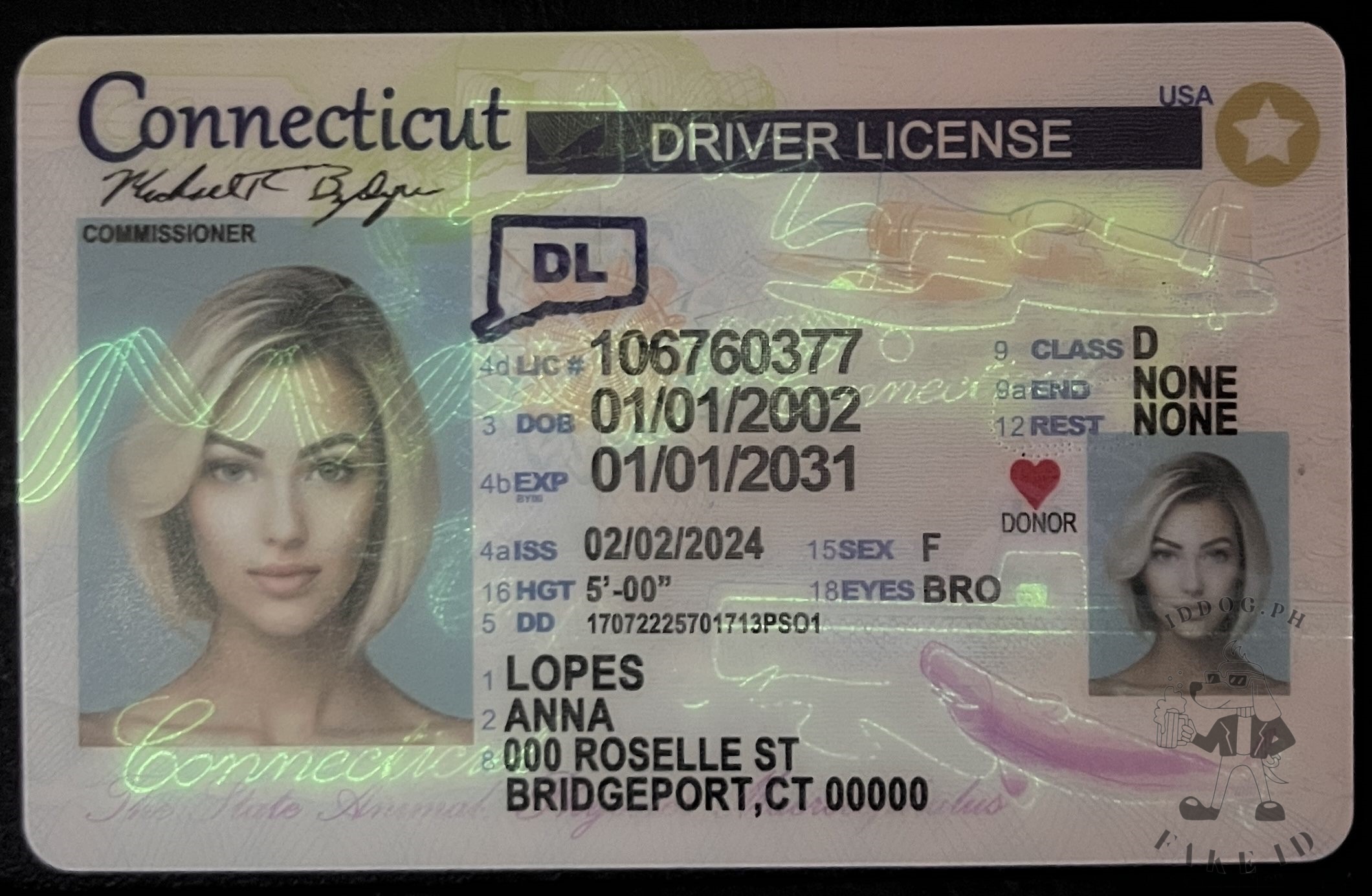 Connecticut Fake ID