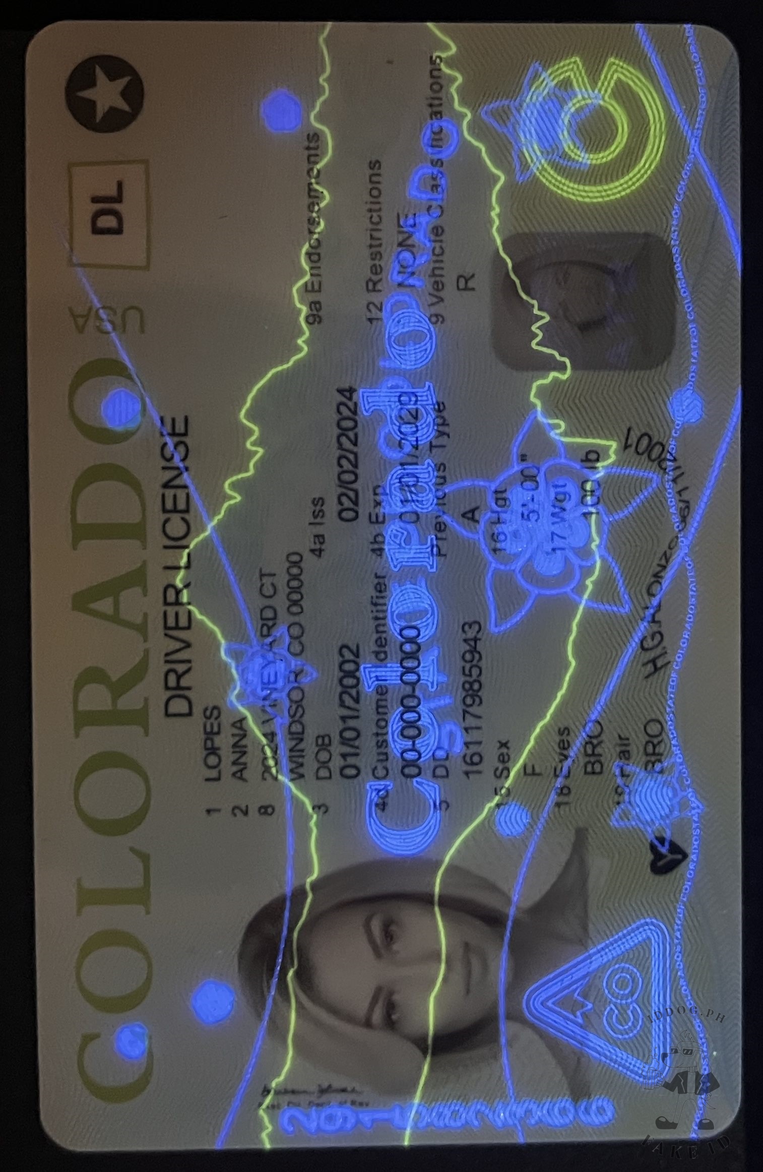 Colorado Fake ID