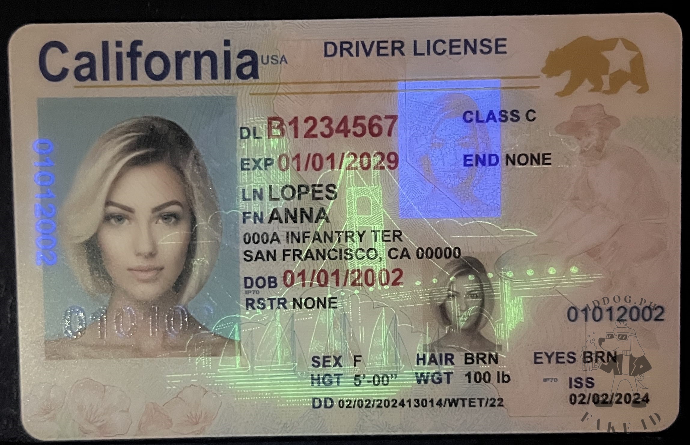 California Fake ID