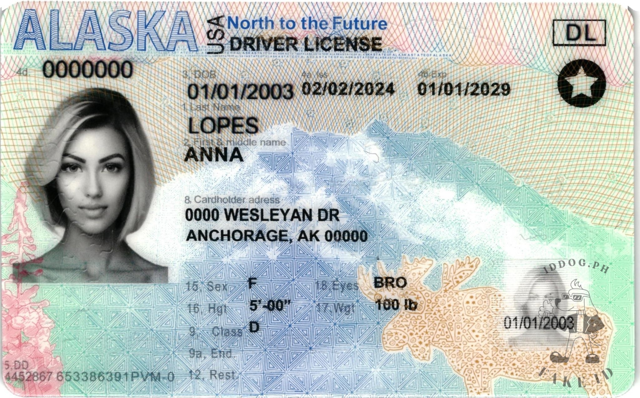 Alaska Fake ID