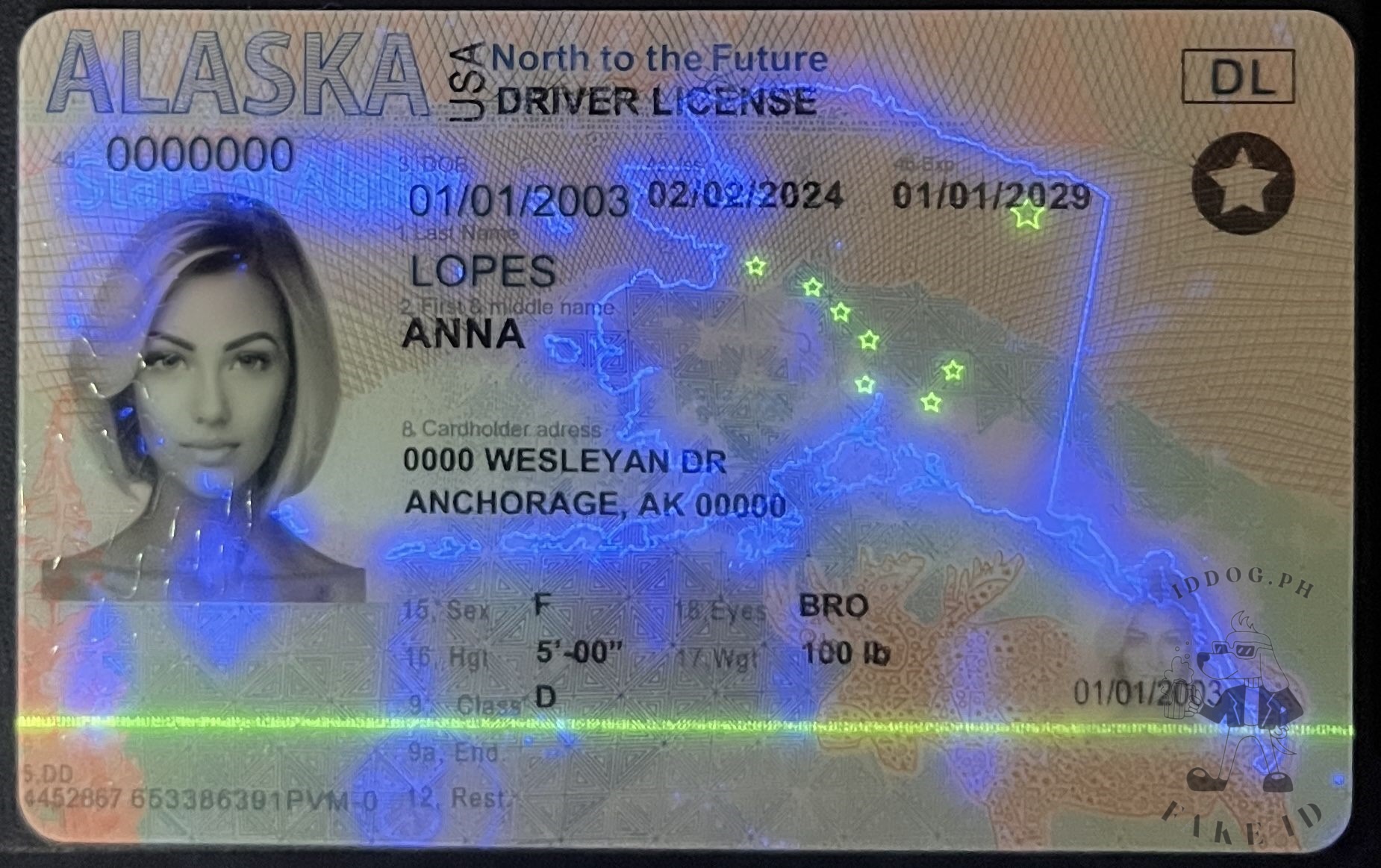 Alaska Fake ID