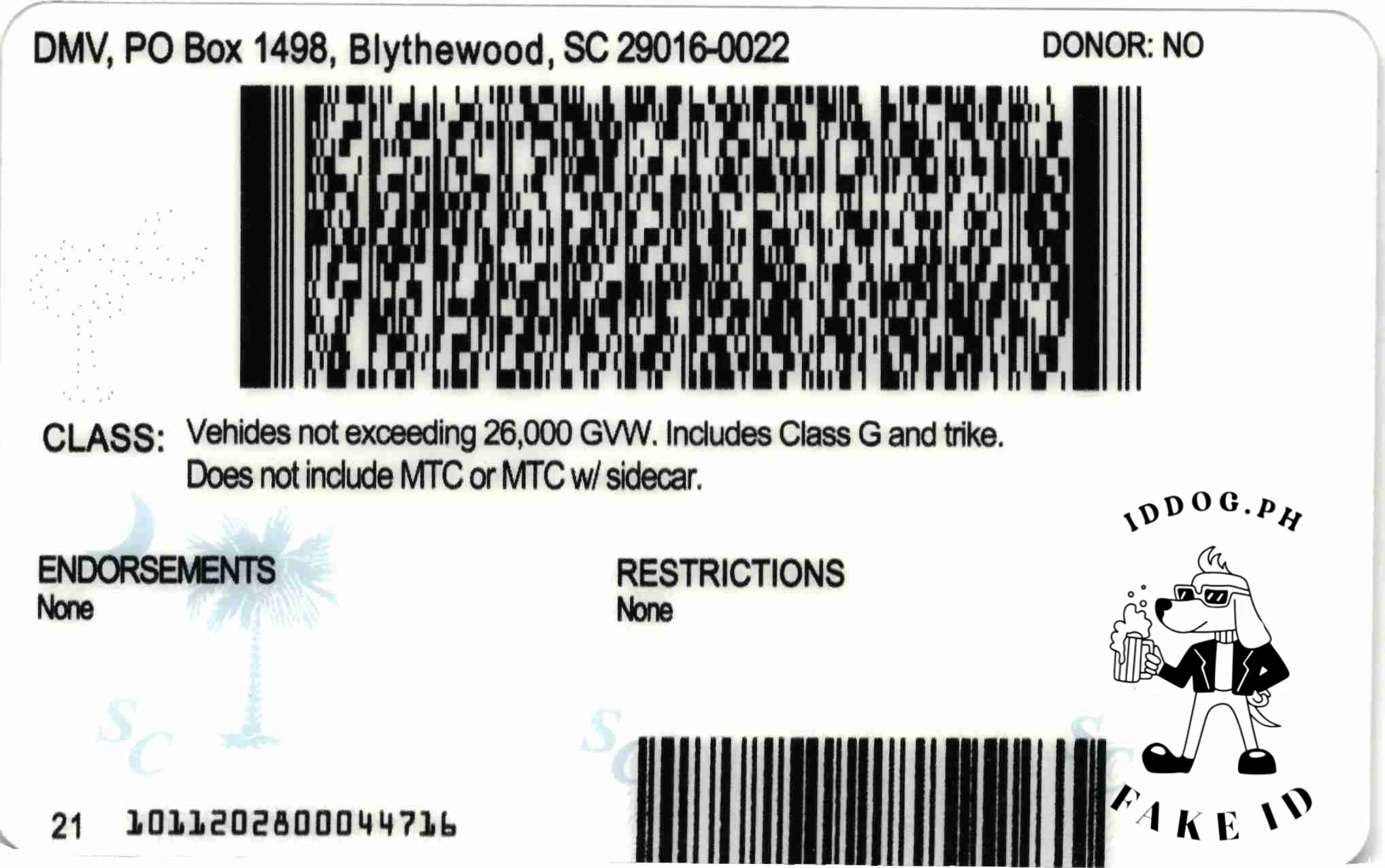 South Carolina(U21) Fake ID