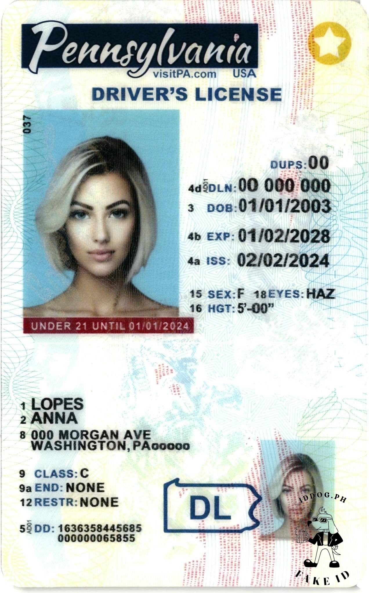 Pennsylvania(U21) Fake ID